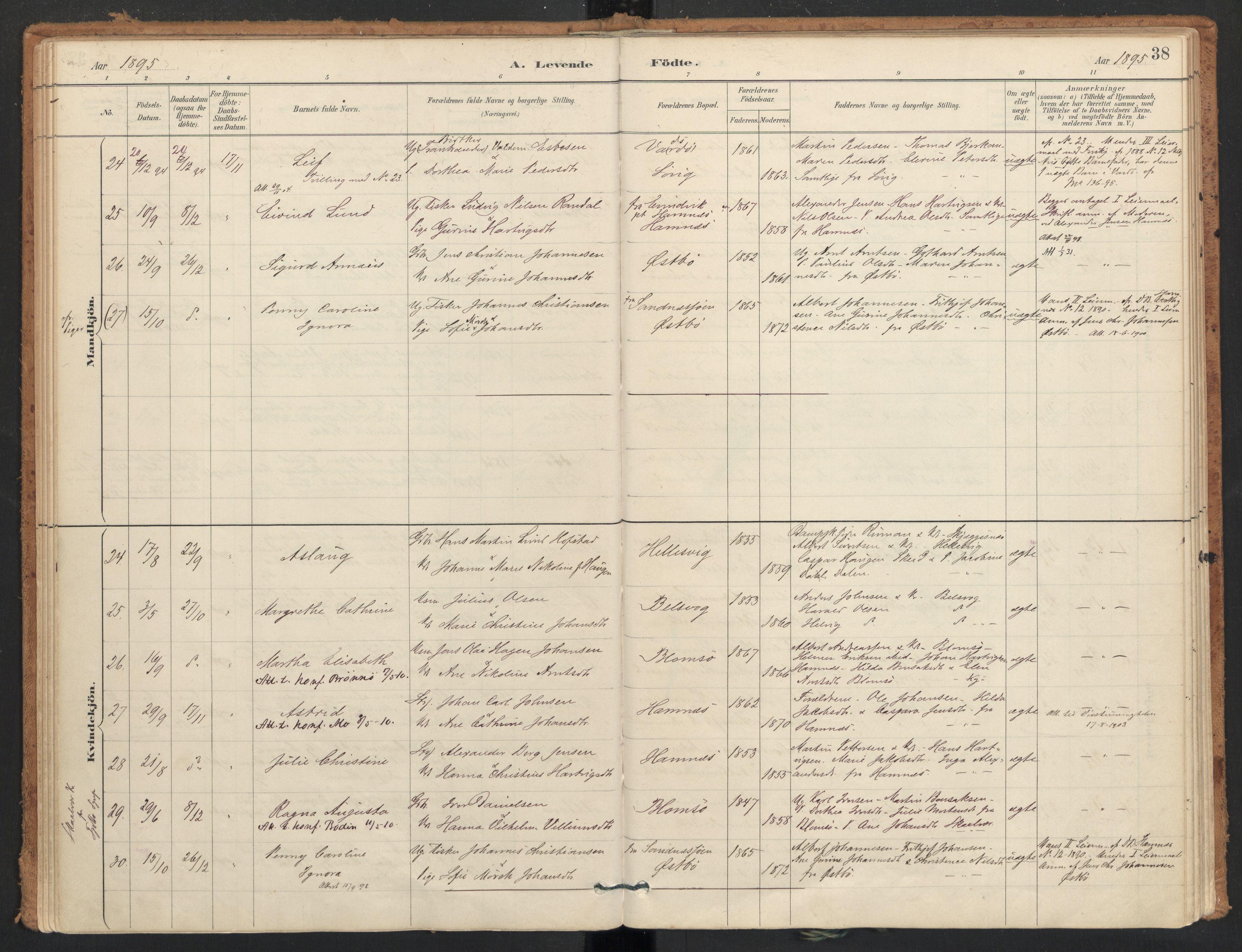 Ministerialprotokoller, klokkerbøker og fødselsregistre - Nordland, SAT/A-1459/830/L0453: Parish register (official) no. 830A17, 1886-1911, p. 38
