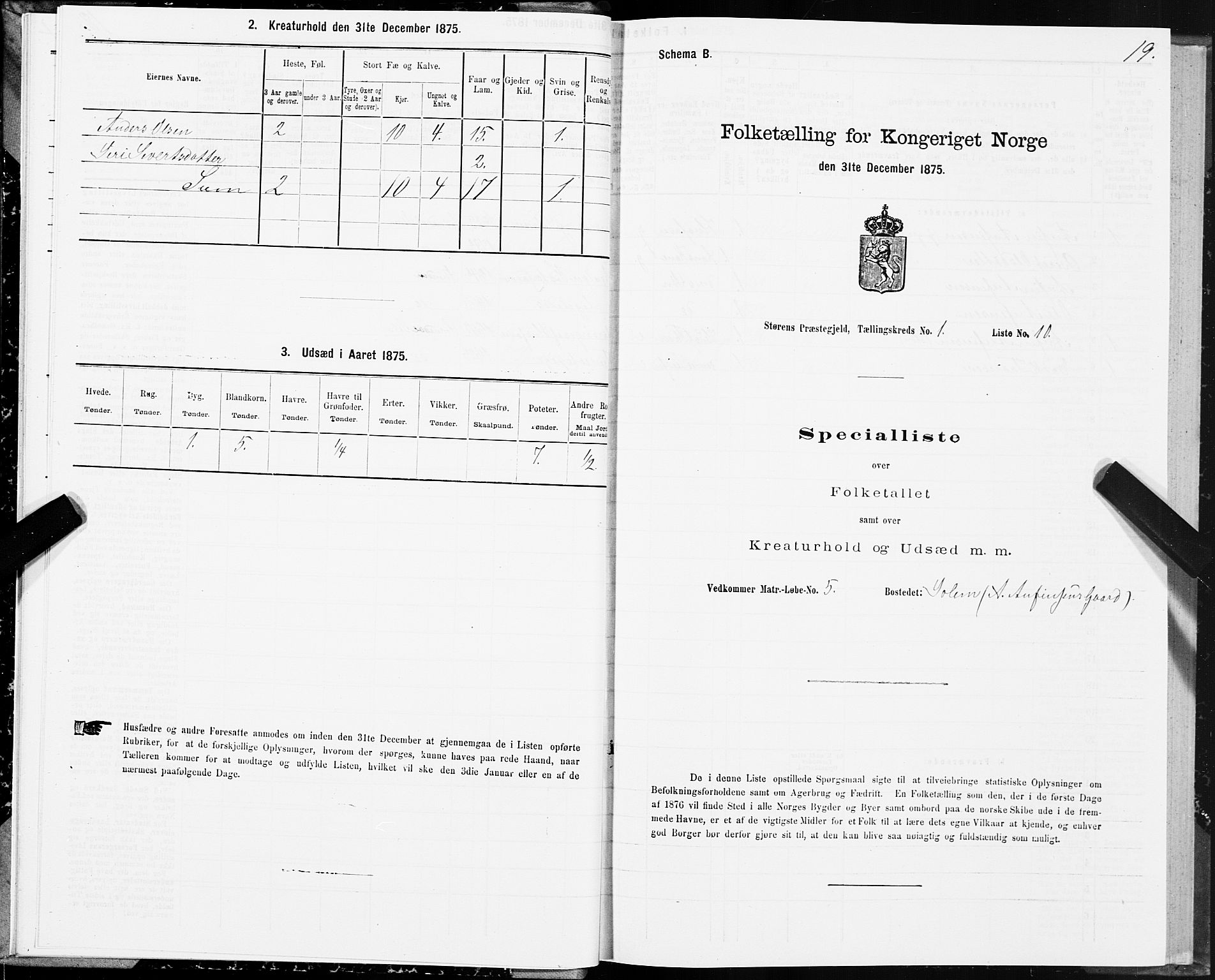 SAT, 1875 census for 1648P Støren, 1875, p. 7019