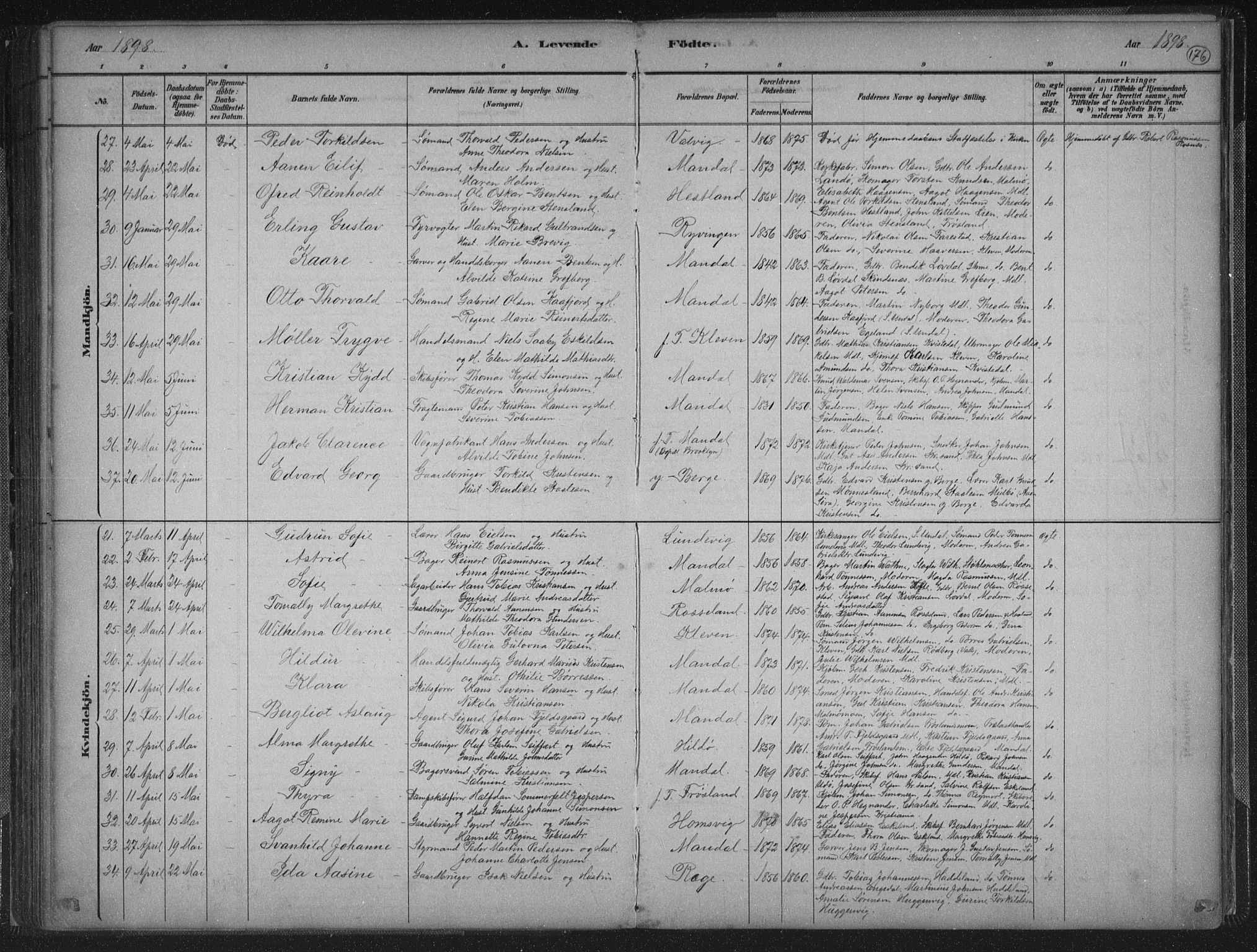 Mandal sokneprestkontor, AV/SAK-1111-0030/F/Fb/Fba/L0011: Parish register (copy) no. B 5, 1880-1898, p. 176