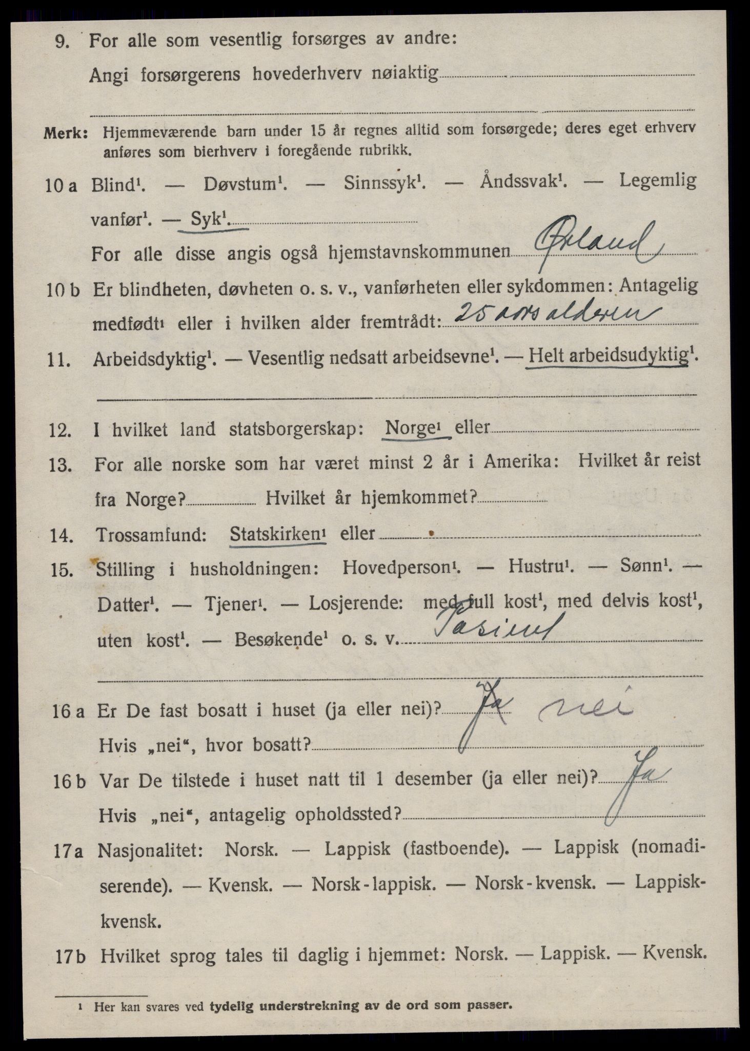 SAT, 1920 census for Hemne, 1920, p. 6117