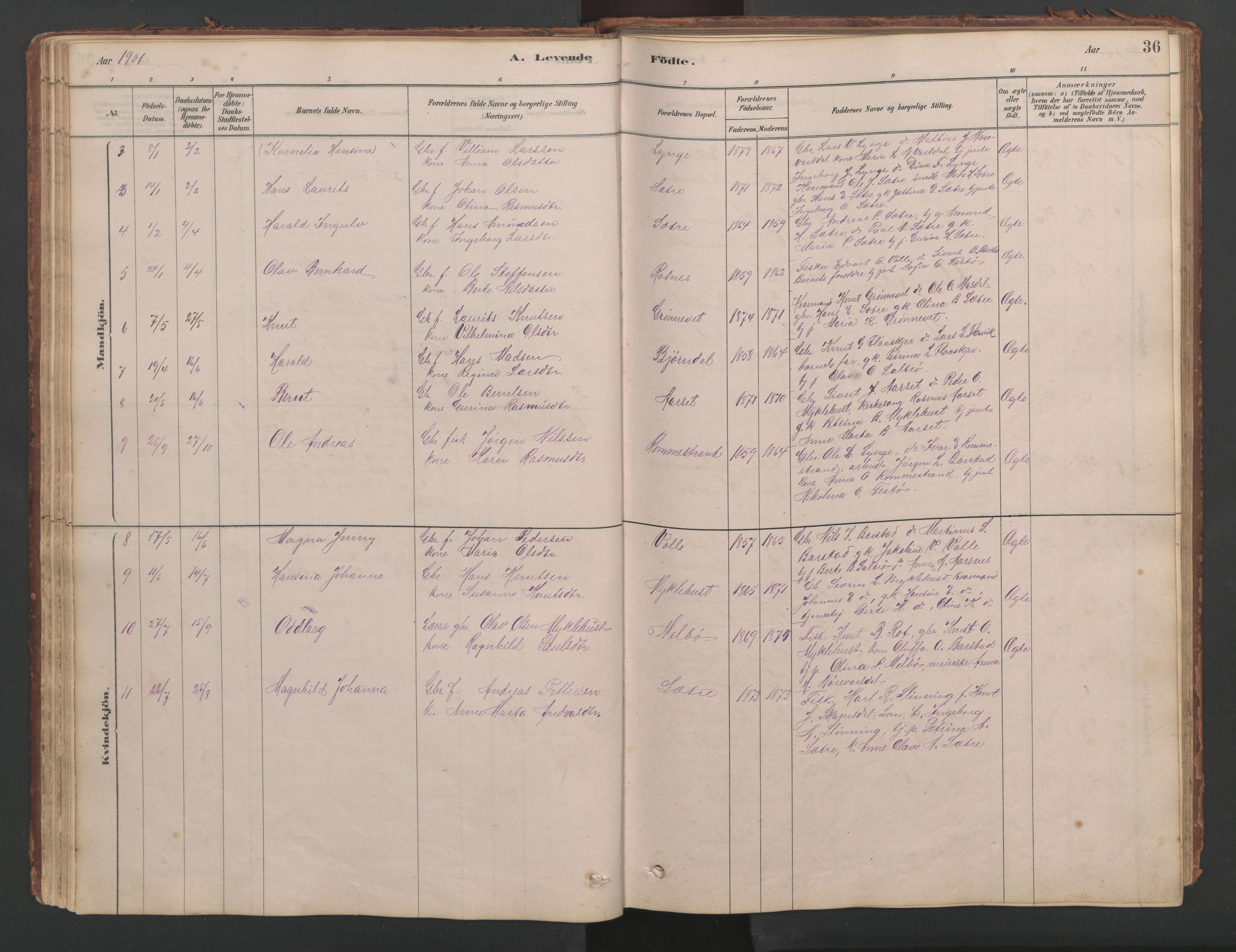 Ministerialprotokoller, klokkerbøker og fødselsregistre - Møre og Romsdal, SAT/A-1454/514/L0201: Parish register (copy) no. 514C01, 1878-1919, p. 36