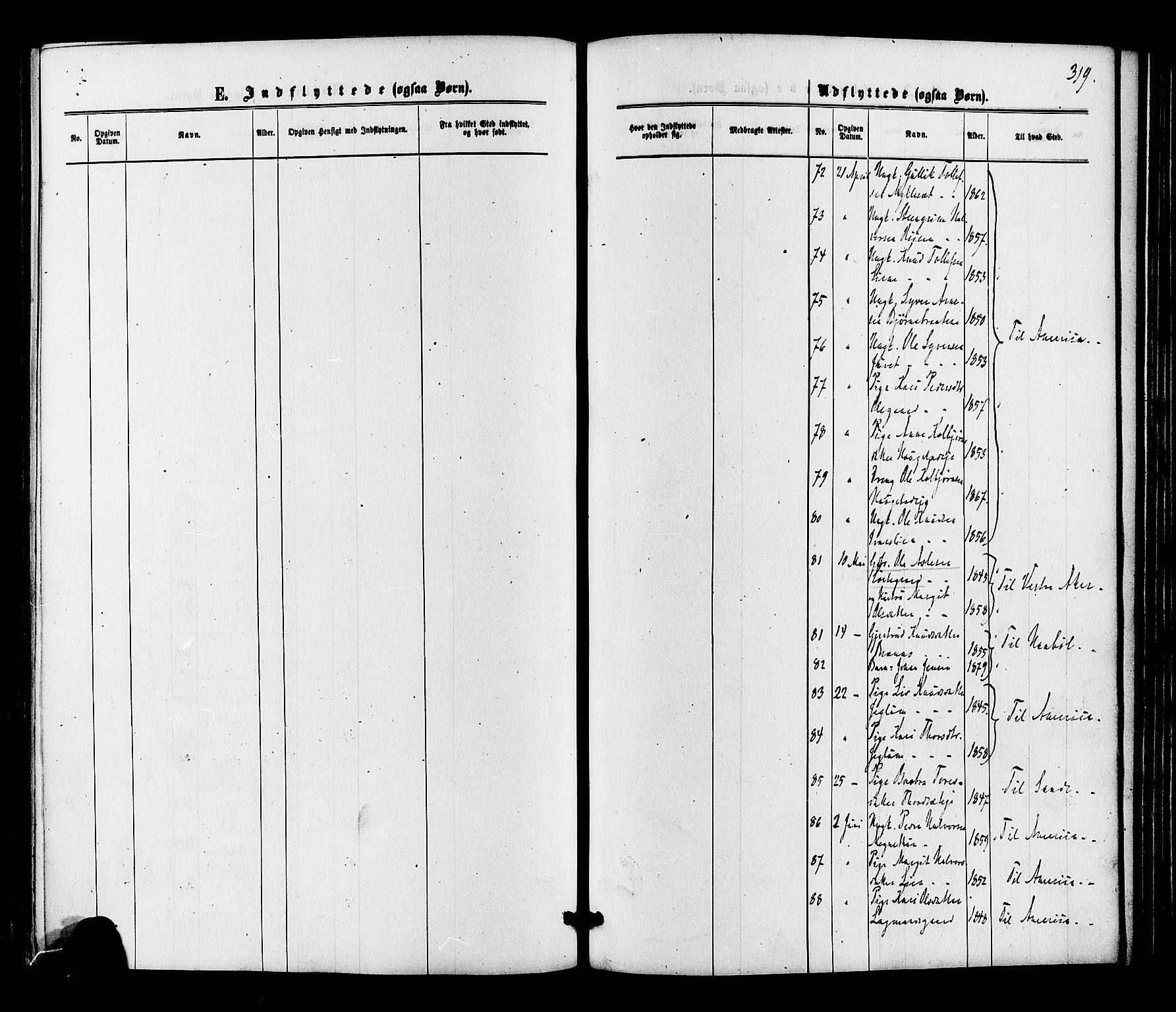 Gol kirkebøker, AV/SAKO-A-226/F/Fa/L0004: Parish register (official) no. I 4, 1876-1886, p. 319