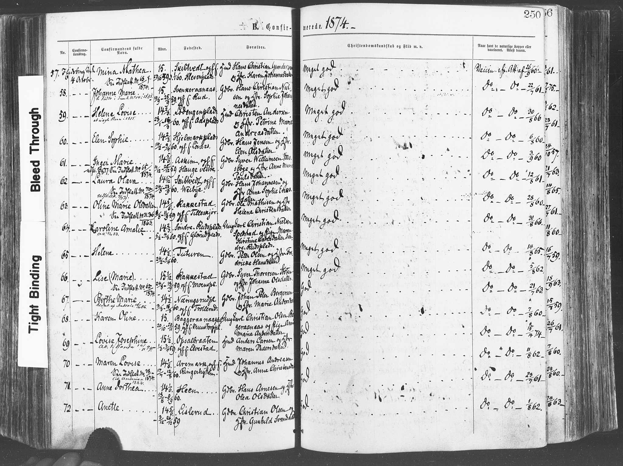 Eidsberg prestekontor Kirkebøker, AV/SAO-A-10905/F/Fa/L0011: Parish register (official) no. I 11, 1867-1878, p. 250