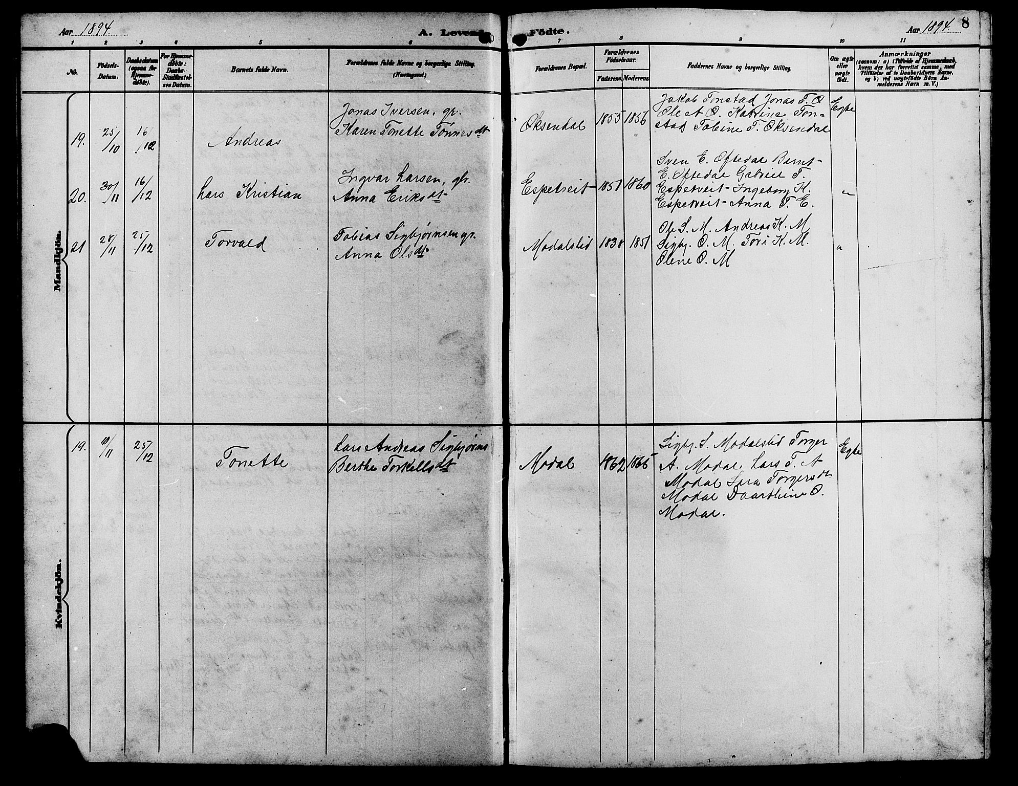 Bakke sokneprestkontor, SAK/1111-0002/F/Fb/Fba/L0003: Parish register (copy) no. B 3, 1894-1910, p. 8