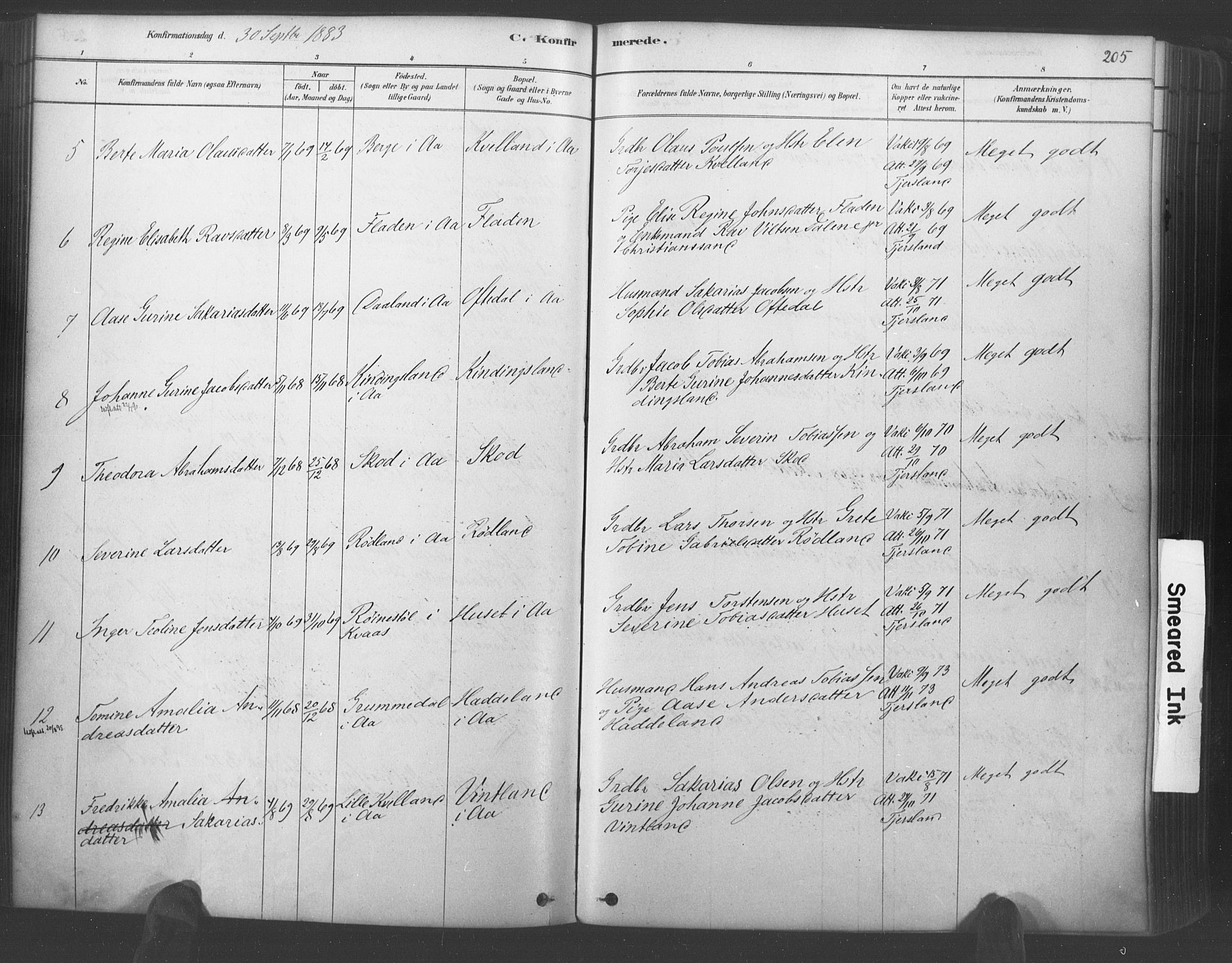 Lyngdal sokneprestkontor, AV/SAK-1111-0029/F/Fa/Fac/L0011: Parish register (official) no. A 11, 1878-1893, p. 205