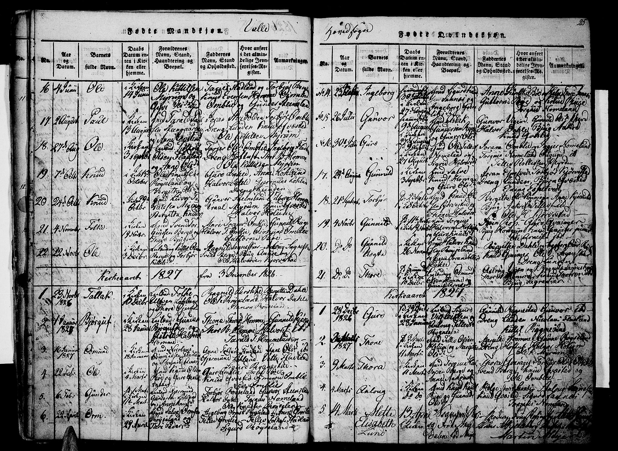 Valle sokneprestkontor, SAK/1111-0044/F/Fa/Fac/L0005: Parish register (official) no. A 5 /1, 1816-1831, p. 25