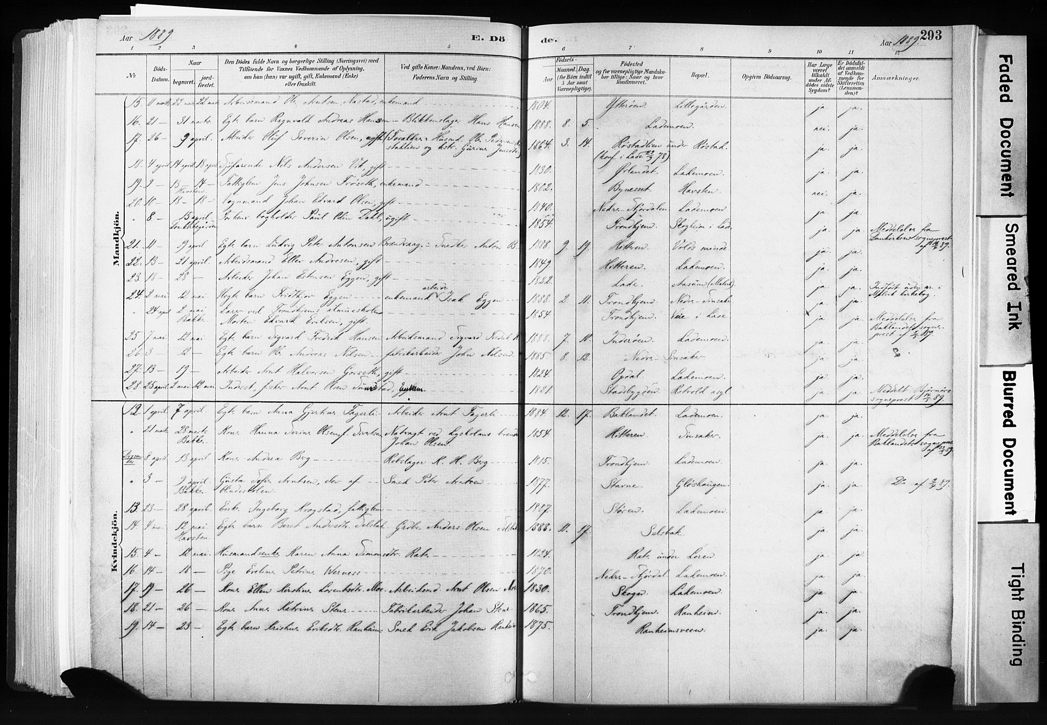 Ministerialprotokoller, klokkerbøker og fødselsregistre - Sør-Trøndelag, SAT/A-1456/606/L0300: Parish register (official) no. 606A15, 1886-1893, p. 293