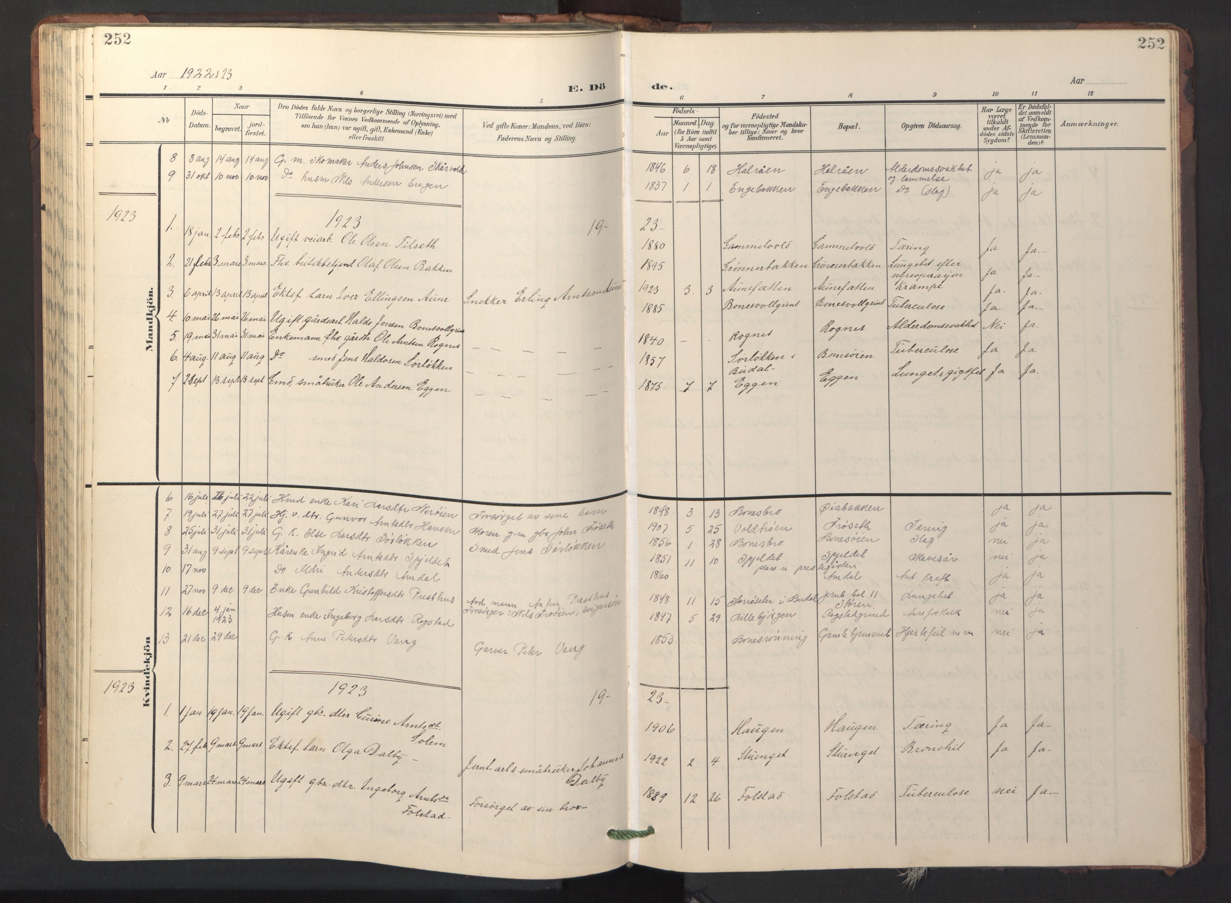 Ministerialprotokoller, klokkerbøker og fødselsregistre - Sør-Trøndelag, SAT/A-1456/687/L1019: Parish register (copy) no. 687C03, 1904-1931, p. 252