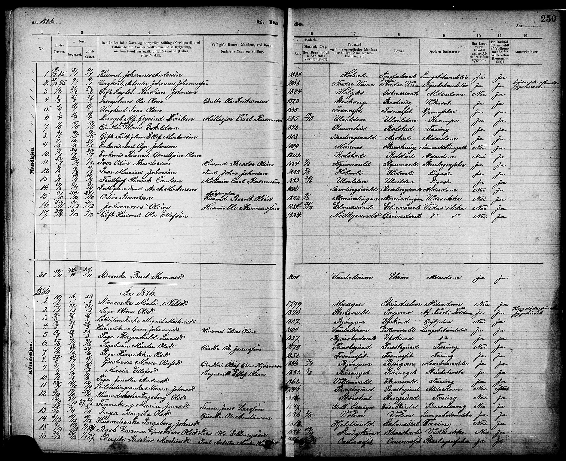 Ministerialprotokoller, klokkerbøker og fødselsregistre - Nord-Trøndelag, AV/SAT-A-1458/724/L0267: Parish register (copy) no. 724C03, 1879-1898, p. 250