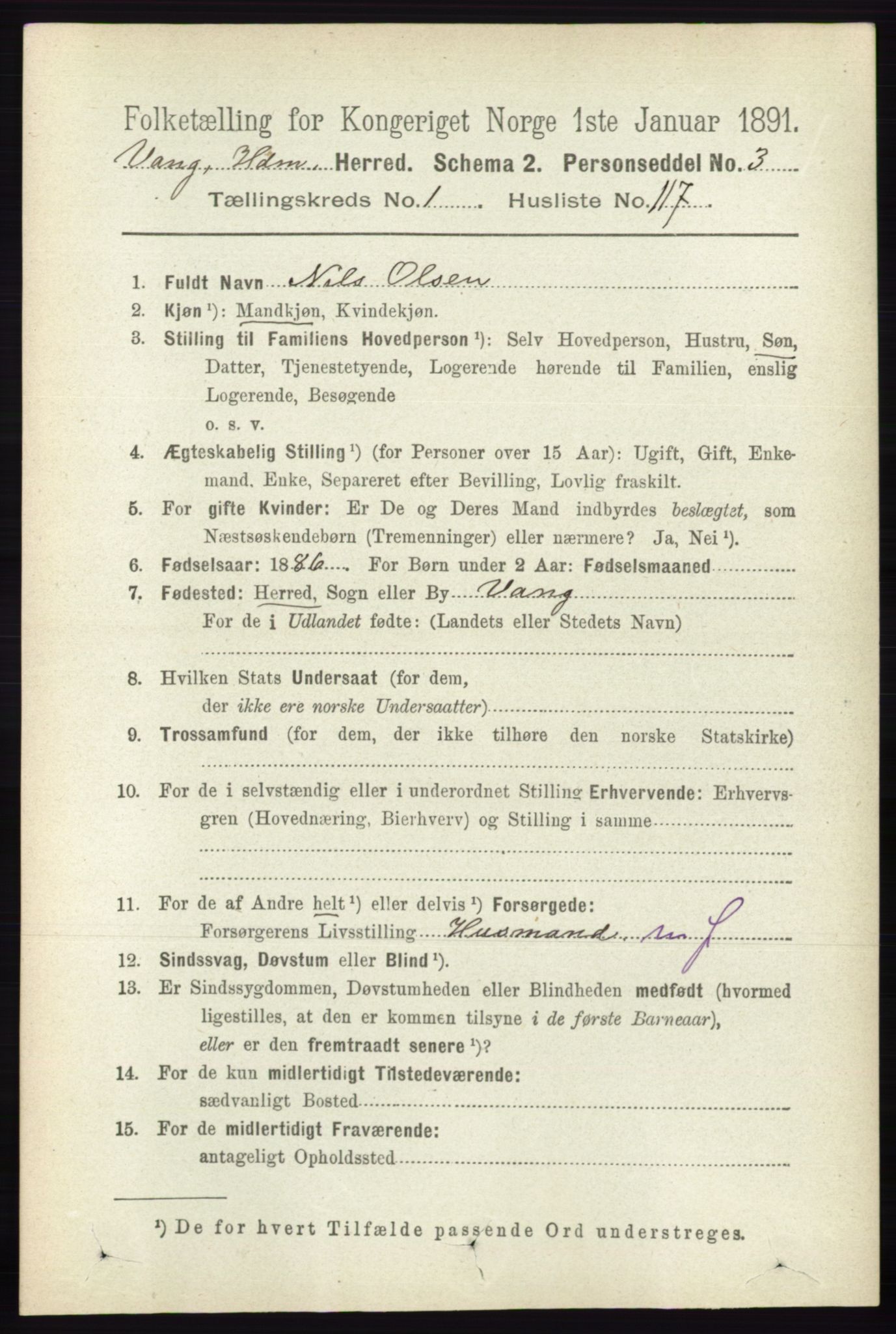 RA, 1891 census for 0414 Vang, 1891, p. 922