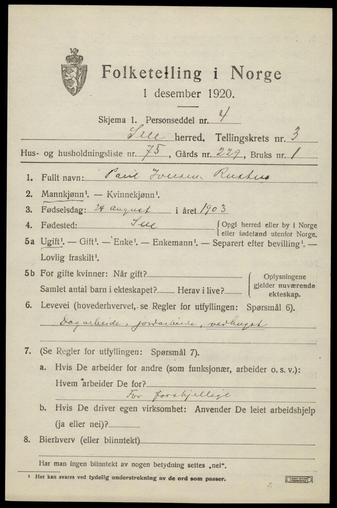 SAH, 1920 census for Sel, 1920, p. 3104