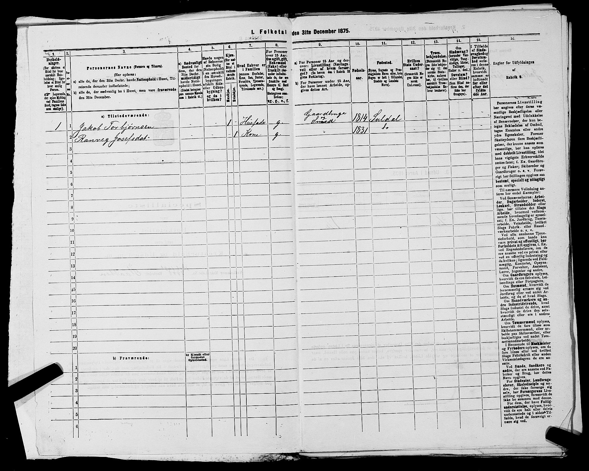 SAST, 1875 census for 1138P Jelsa, 1875, p. 586