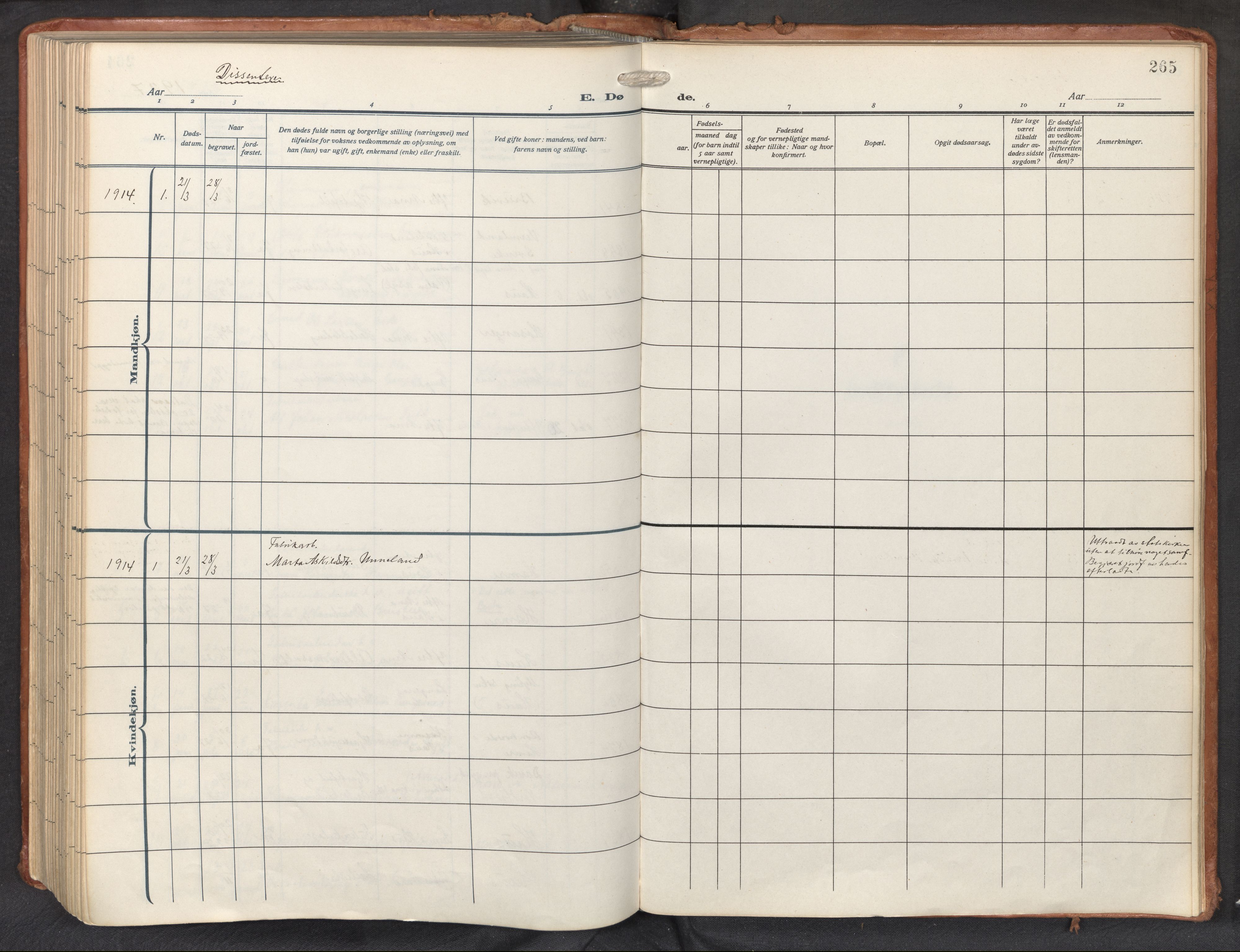 Haus sokneprestembete, AV/SAB-A-75601/H/Haa: Parish register (official) no. D 3, 1912-1927, p. 265