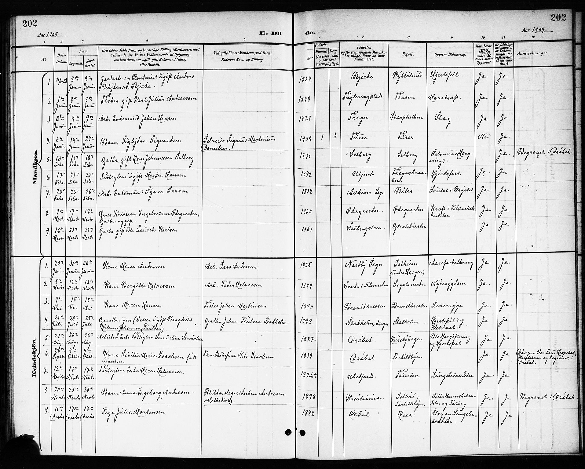 Drøbak prestekontor Kirkebøker, SAO/A-10142a/G/Gb/L0001: Parish register (copy) no. II 1, 1901-1919, p. 202