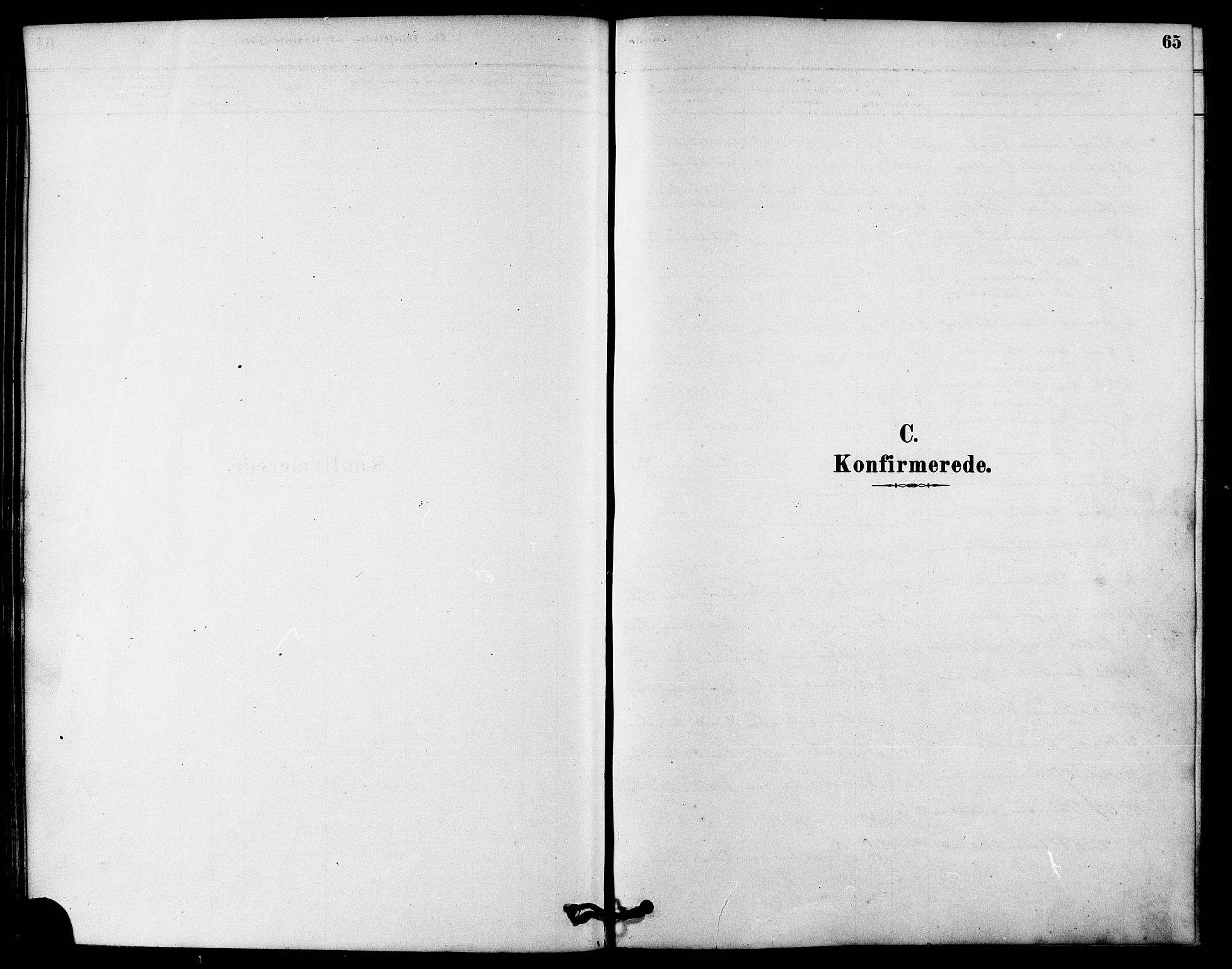 Ministerialprotokoller, klokkerbøker og fødselsregistre - Møre og Romsdal, AV/SAT-A-1454/578/L0906: Parish register (official) no. 578A05, 1878-1886, p. 65