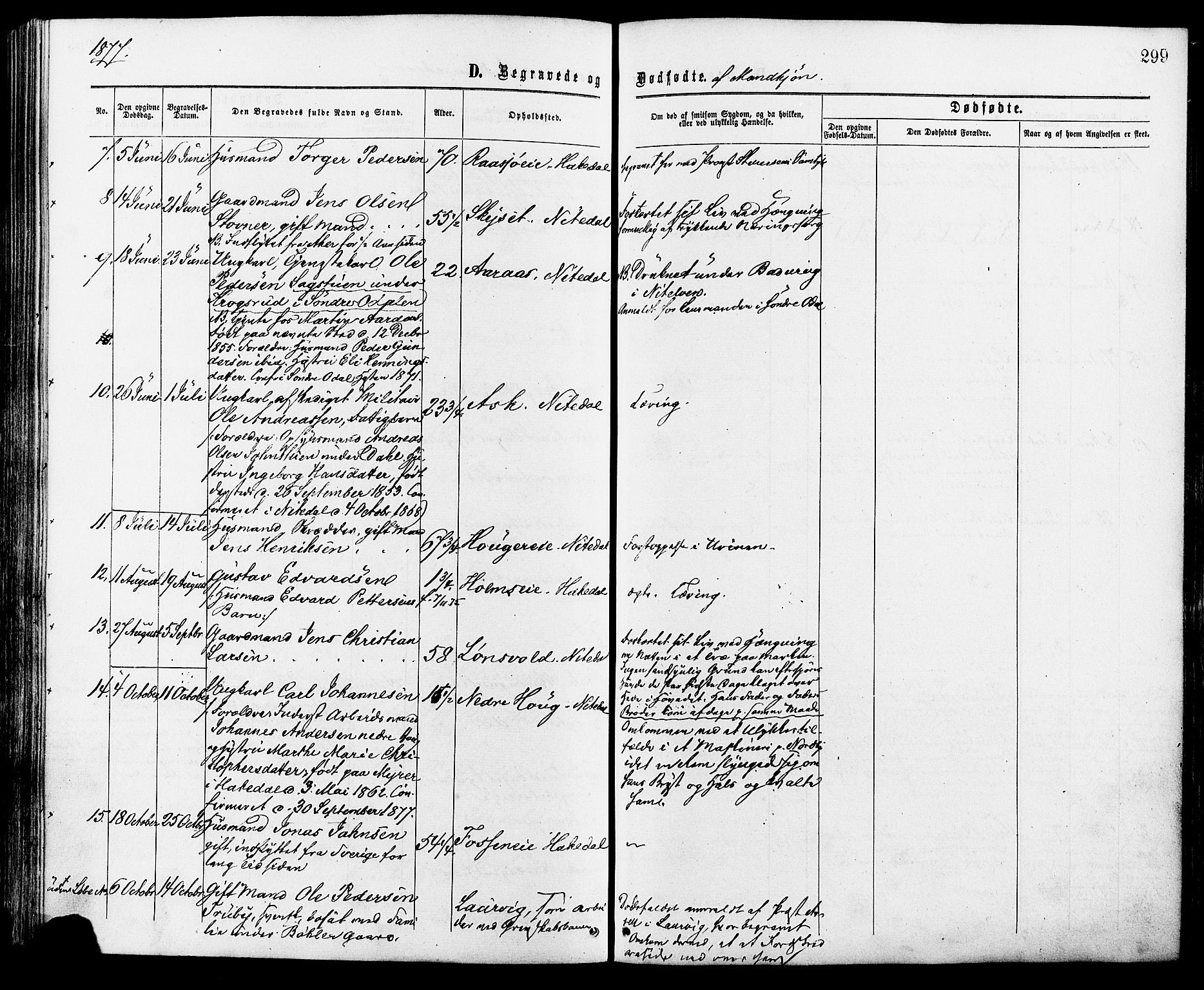 Nittedal prestekontor Kirkebøker, AV/SAO-A-10365a/F/Fa/L0006: Parish register (official) no. I 6, 1863-1878, p. 299