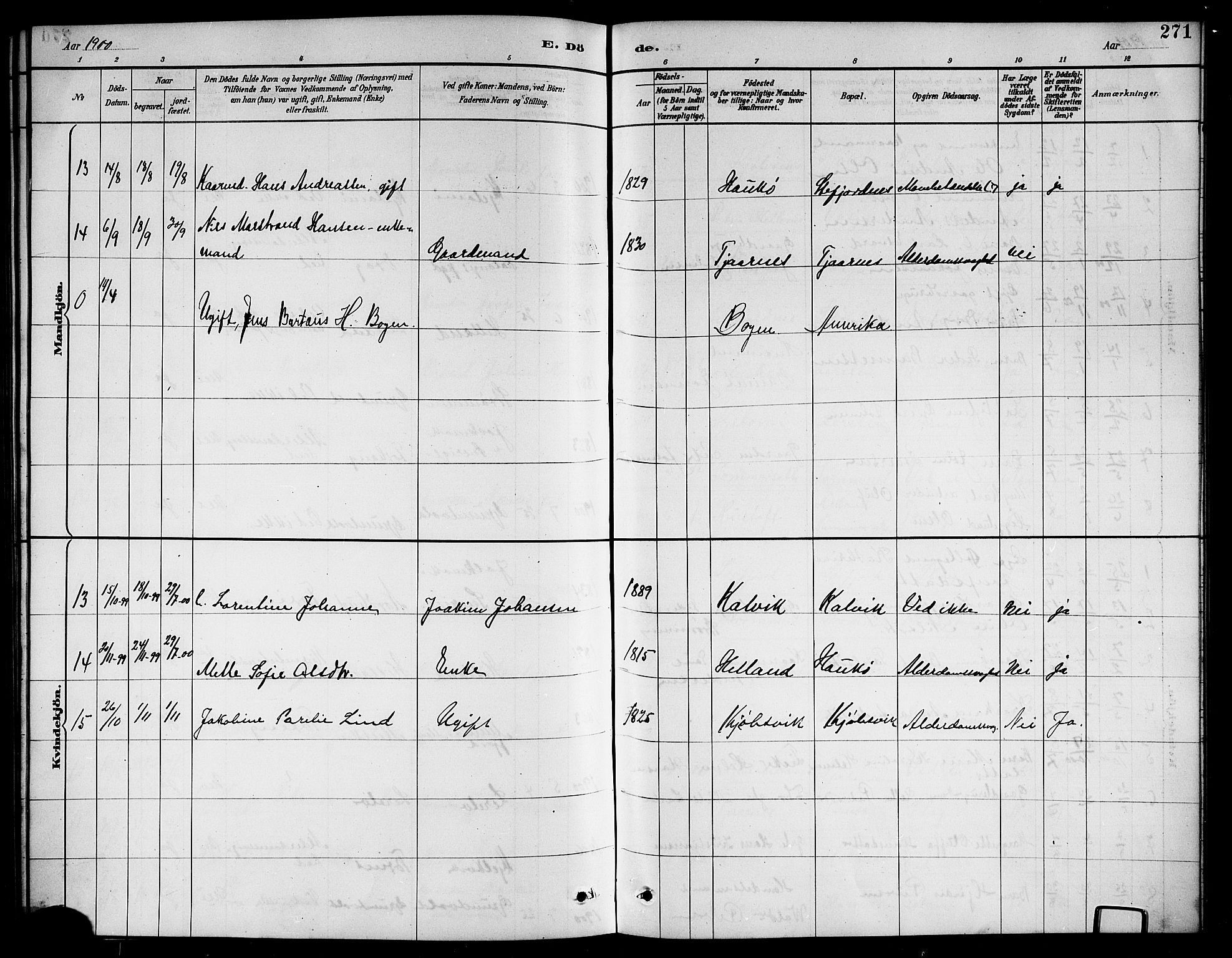 Ministerialprotokoller, klokkerbøker og fødselsregistre - Nordland, AV/SAT-A-1459/861/L0876: Parish register (copy) no. 861C02, 1887-1903, p. 271