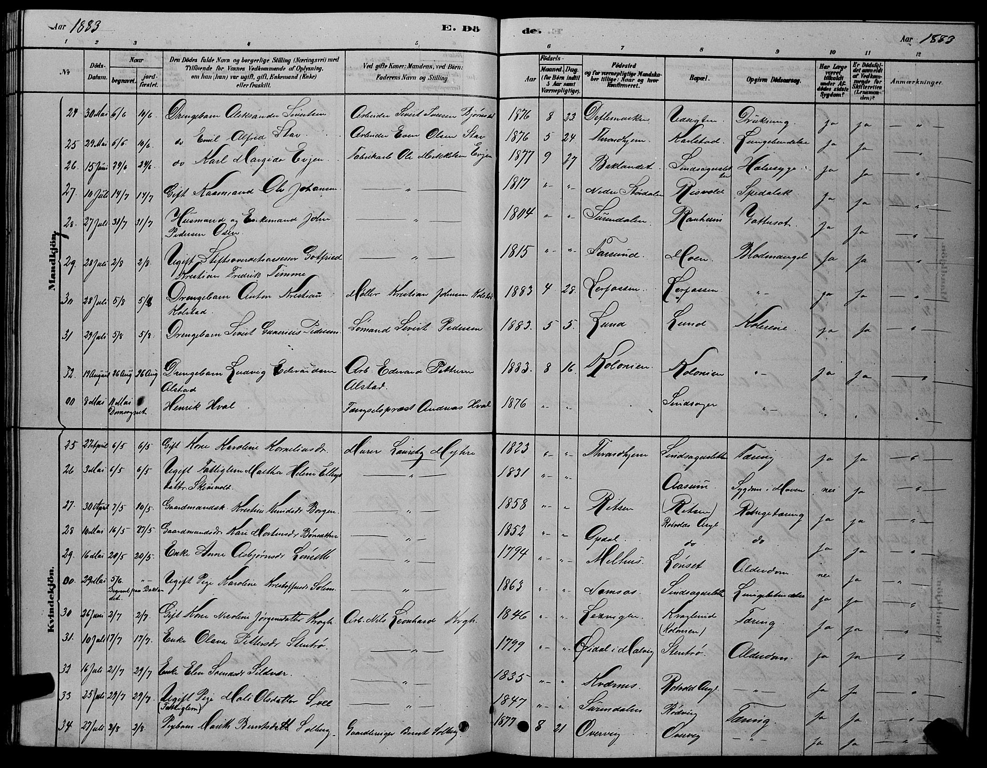 Ministerialprotokoller, klokkerbøker og fødselsregistre - Sør-Trøndelag, AV/SAT-A-1456/606/L0312: Parish register (copy) no. 606C08, 1878-1894