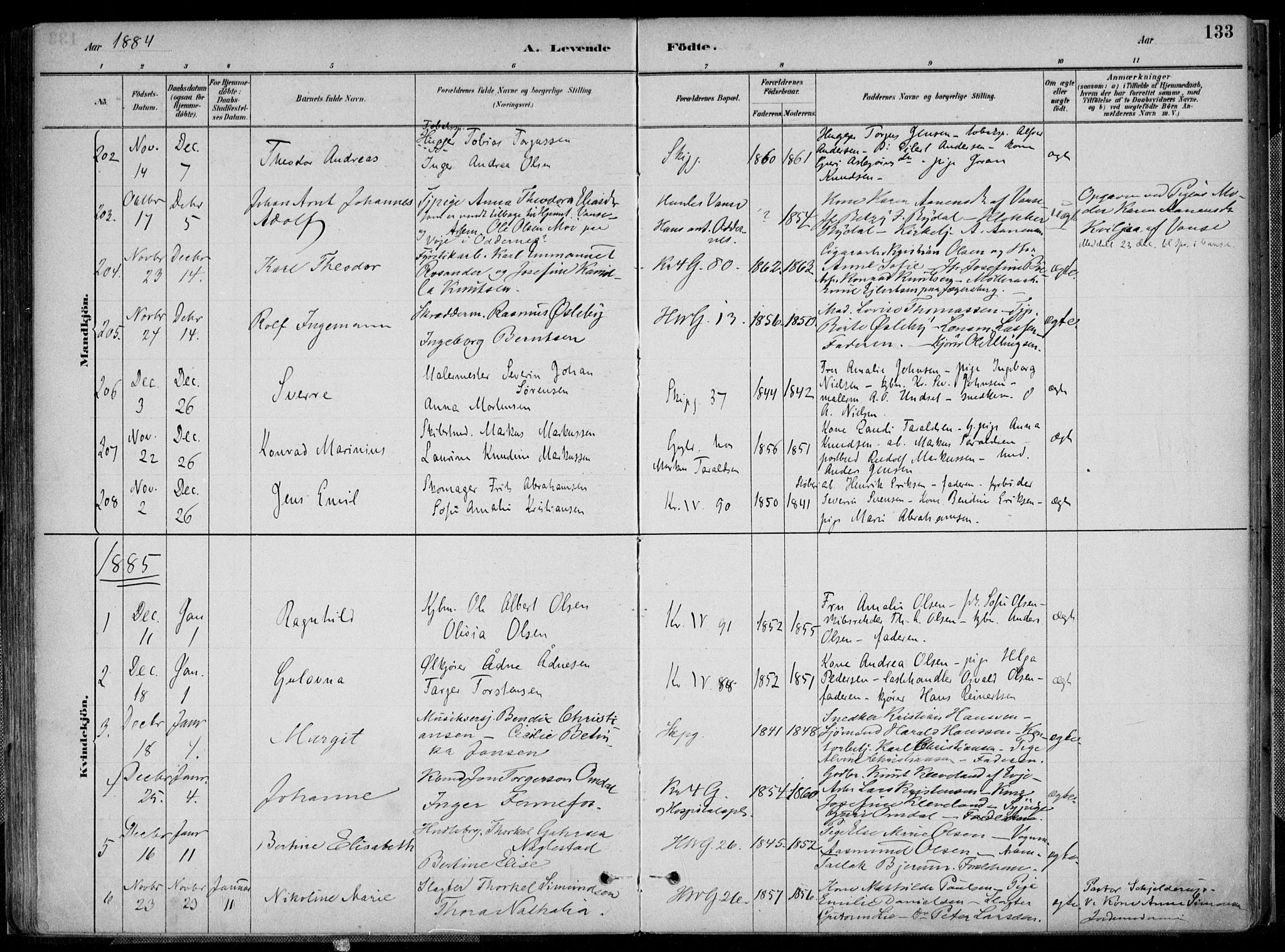 Kristiansand domprosti, SAK/1112-0006/F/Fa/L0016: Parish register (official) no. A 16A, 1880-1890, p. 133