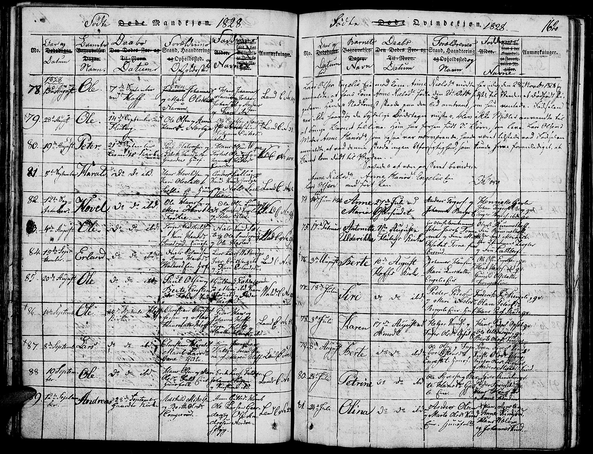 Land prestekontor, SAH/PREST-120/H/Ha/Haa/L0007: Parish register (official) no. 7, 1814-1830, p. 162