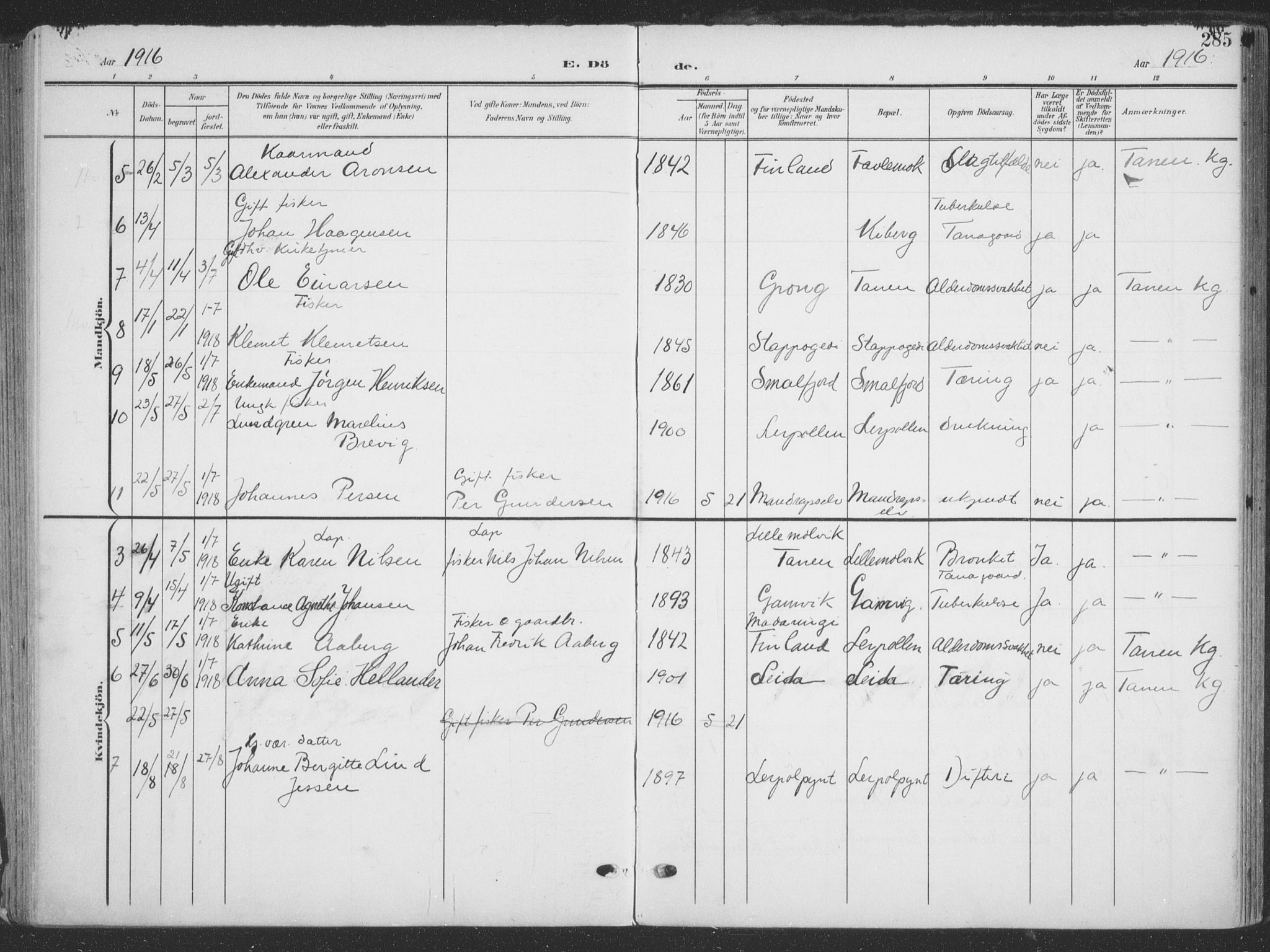 Tana sokneprestkontor, AV/SATØ-S-1334/H/Ha/L0007kirke: Parish register (official) no. 7, 1904-1918, p. 285