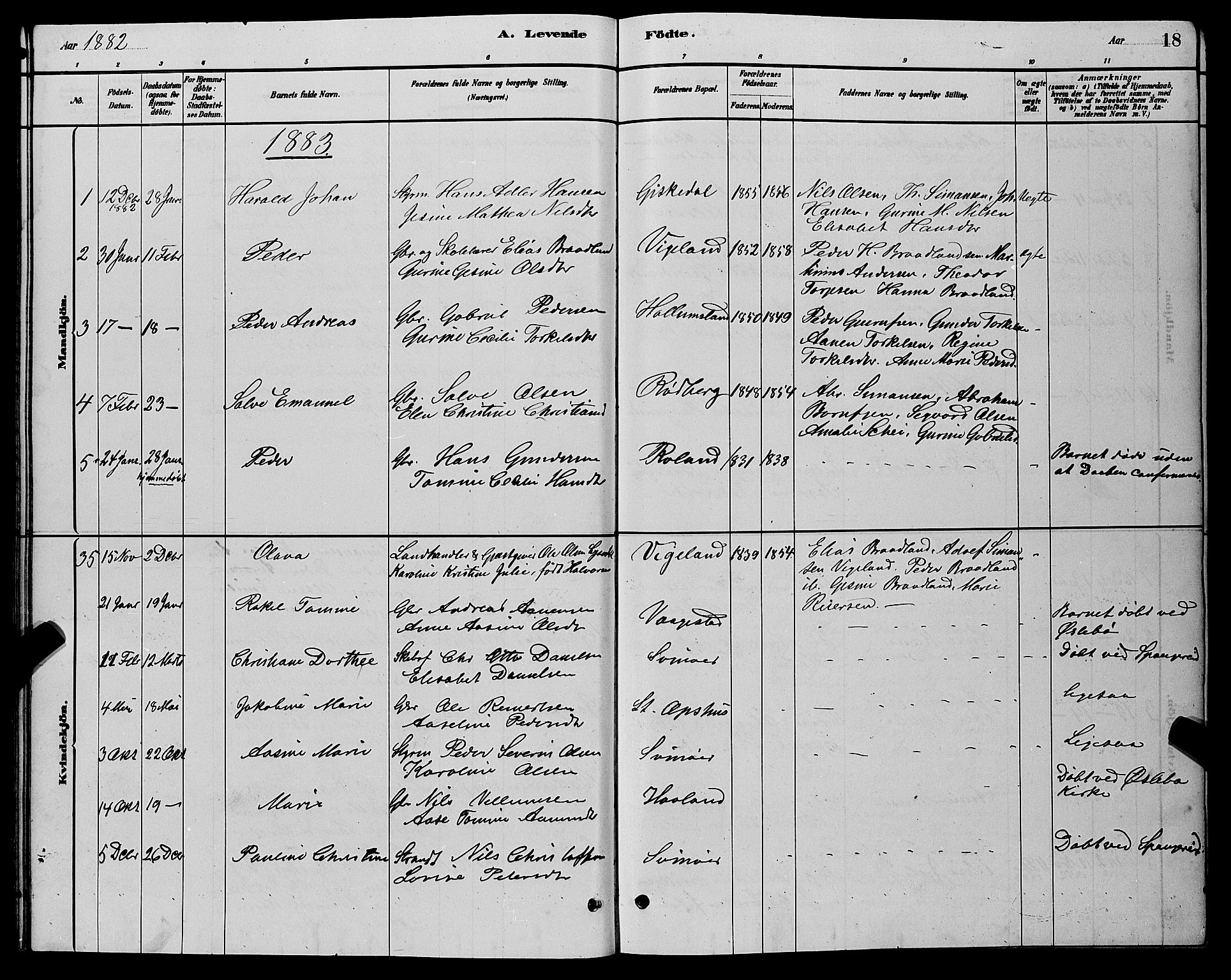 Sør-Audnedal sokneprestkontor, AV/SAK-1111-0039/F/Fb/Fbb/L0005: Parish register (copy) no. B 5, 1880-1892, p. 18