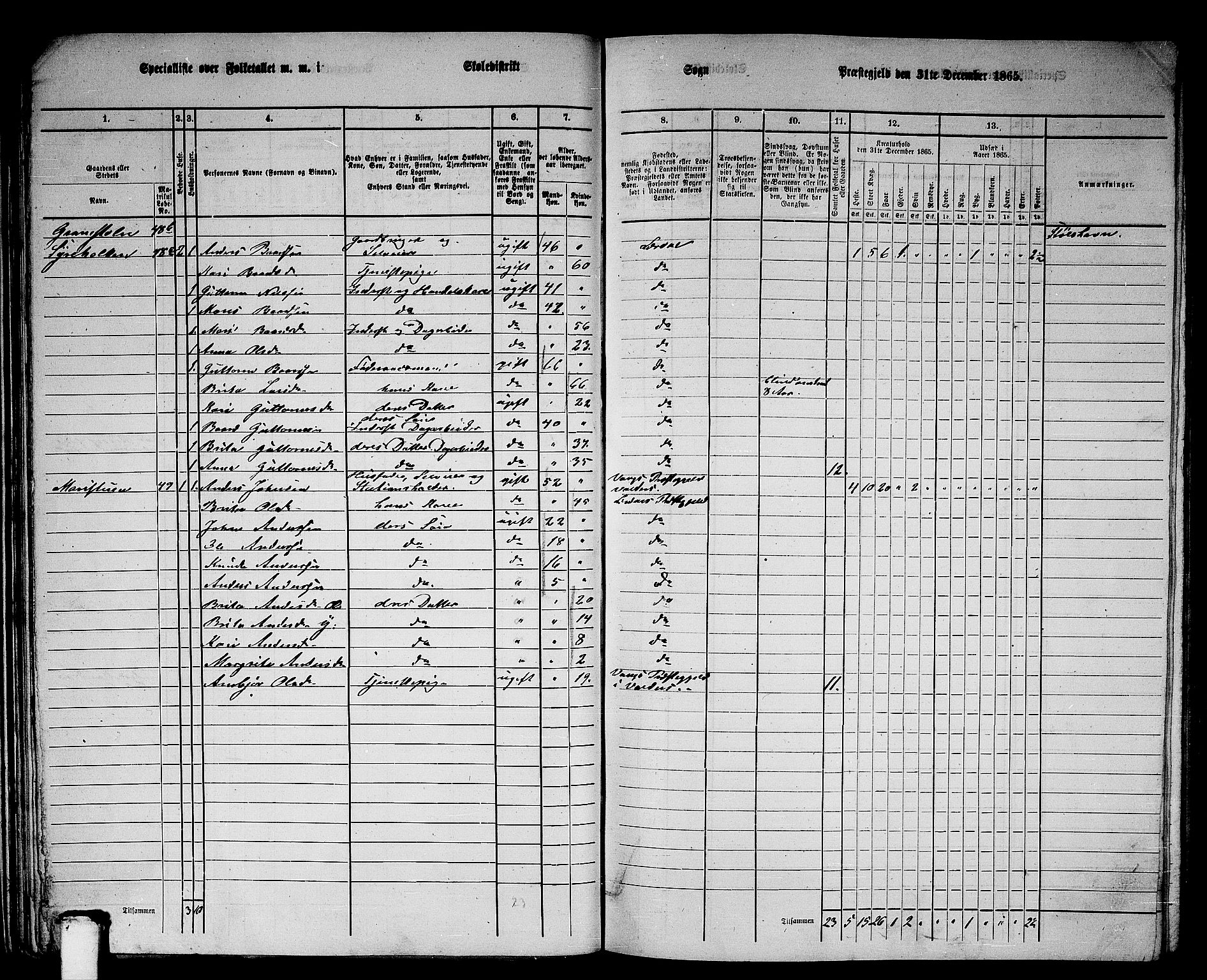 RA, 1865 census for Lærdal, 1865, p. 30