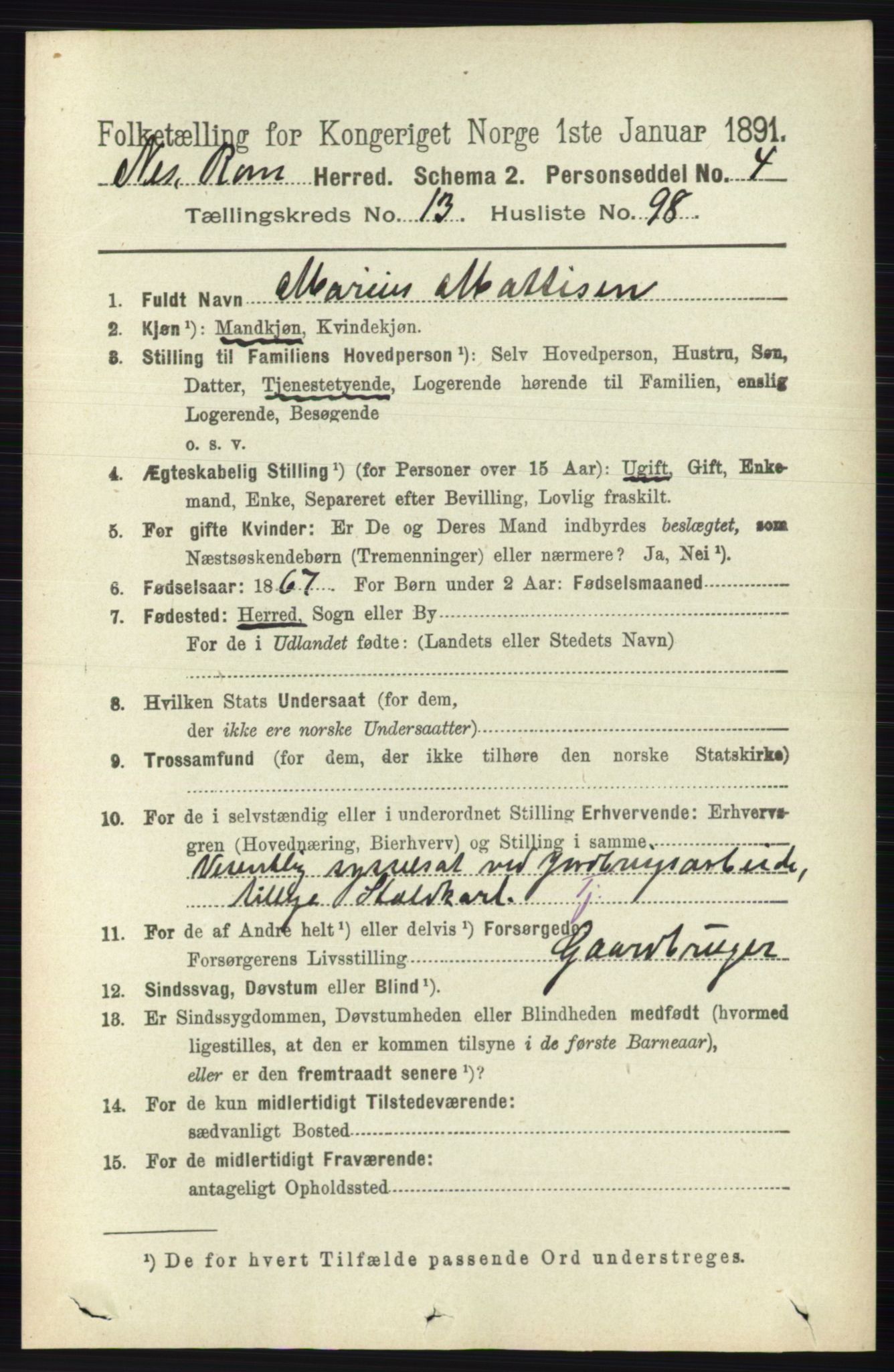 RA, 1891 census for 0236 Nes, 1891, p. 8400
