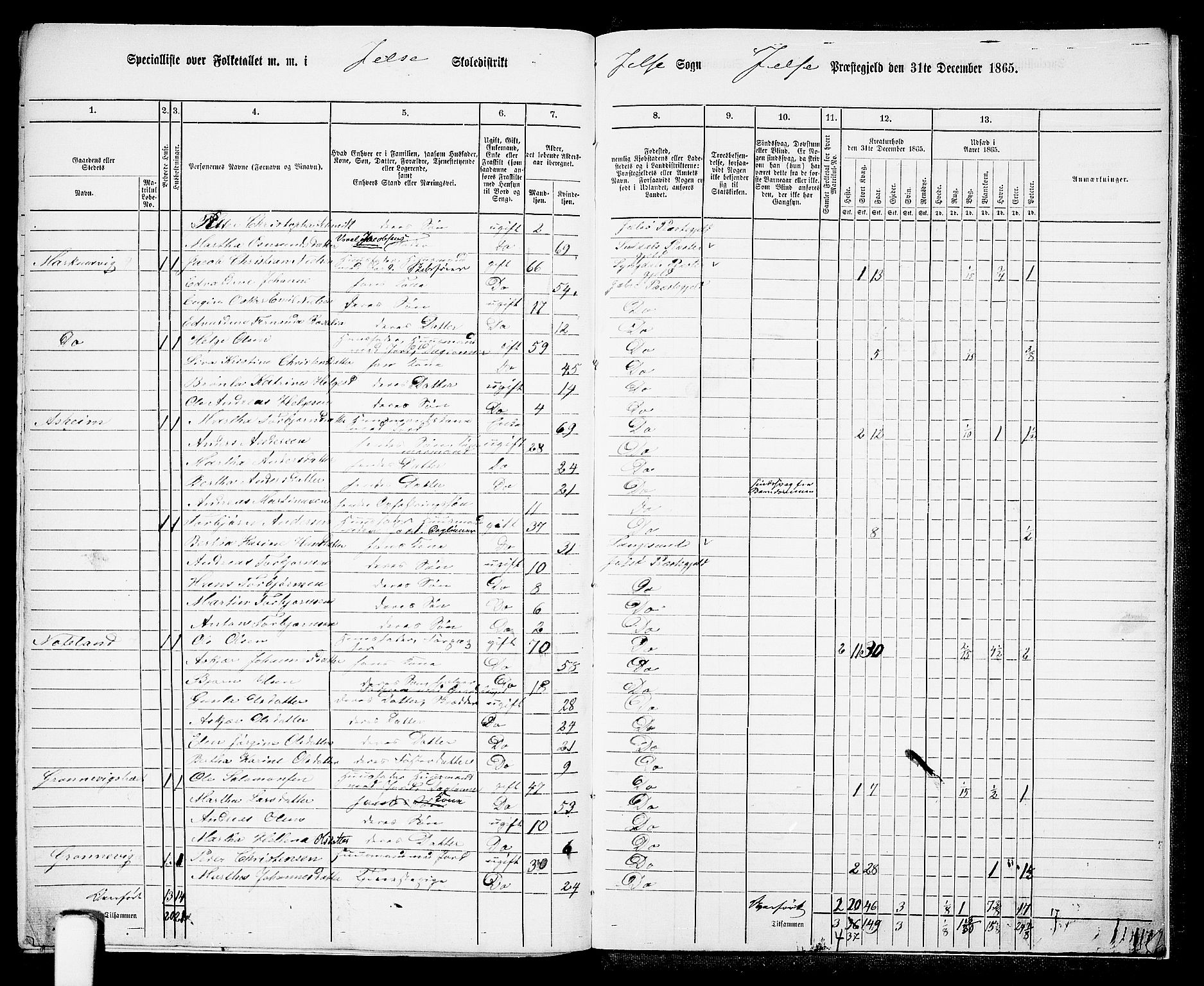 RA, 1865 census for Jelsa, 1865, p. 115