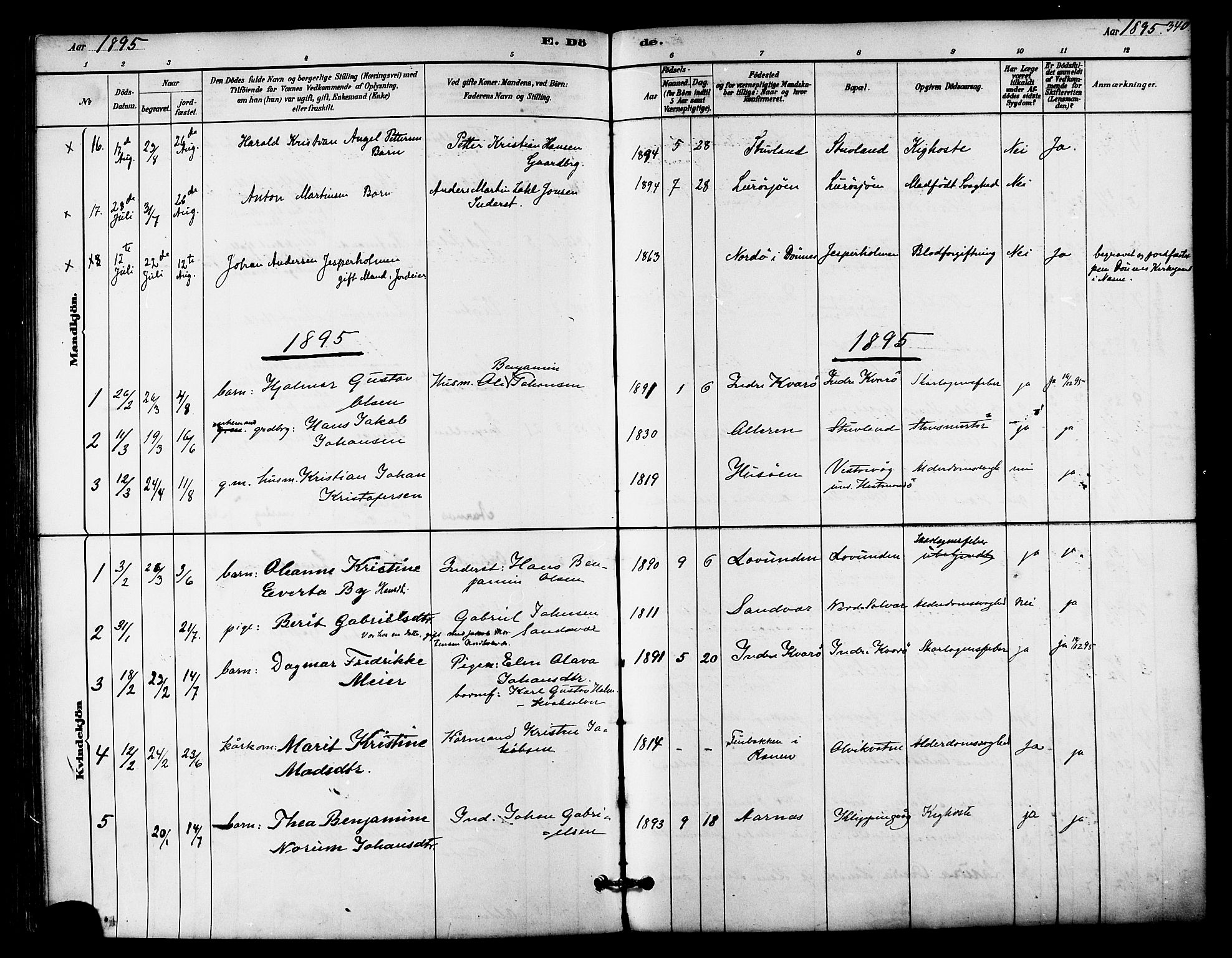 Ministerialprotokoller, klokkerbøker og fødselsregistre - Nordland, SAT/A-1459/839/L0568: Parish register (official) no. 839A05, 1880-1902, p. 340