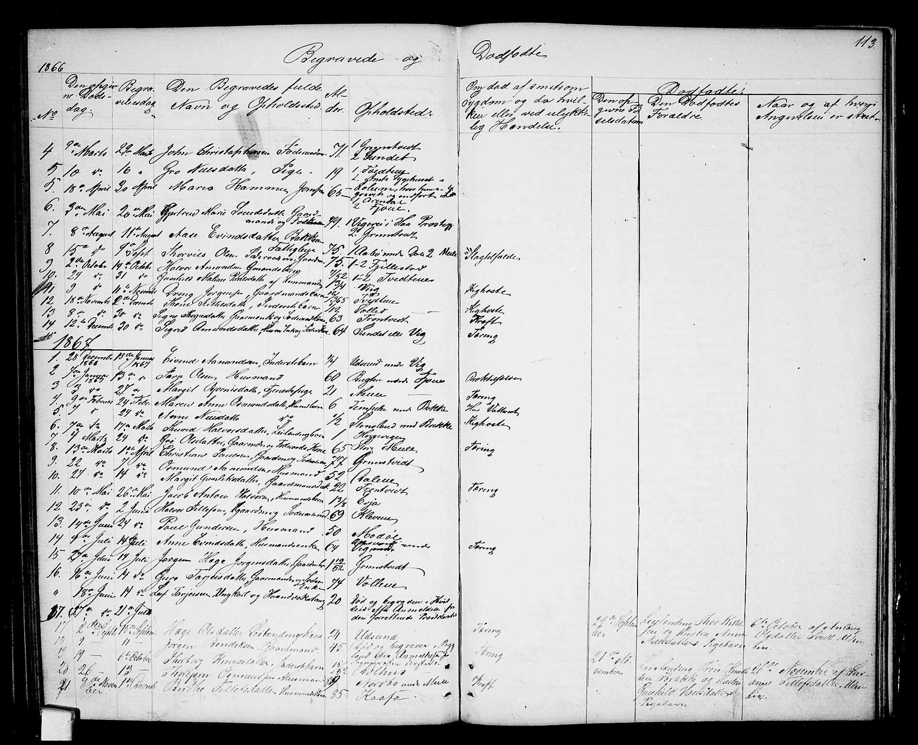 Nissedal kirkebøker, SAKO/A-288/G/Ga/L0002: Parish register (copy) no. I 2, 1861-1887, p. 113