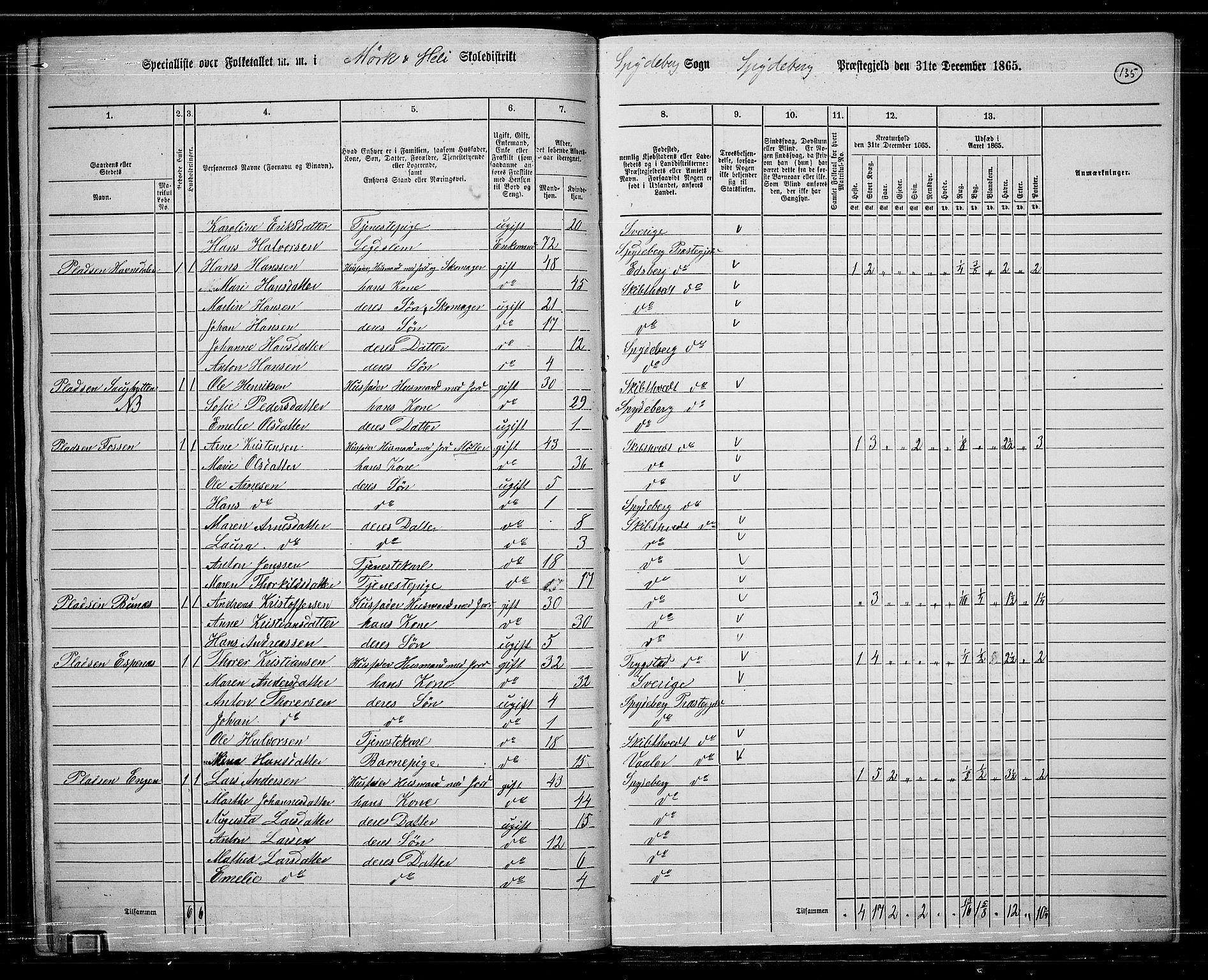 RA, 1865 census for Spydeberg, 1865, p. 118