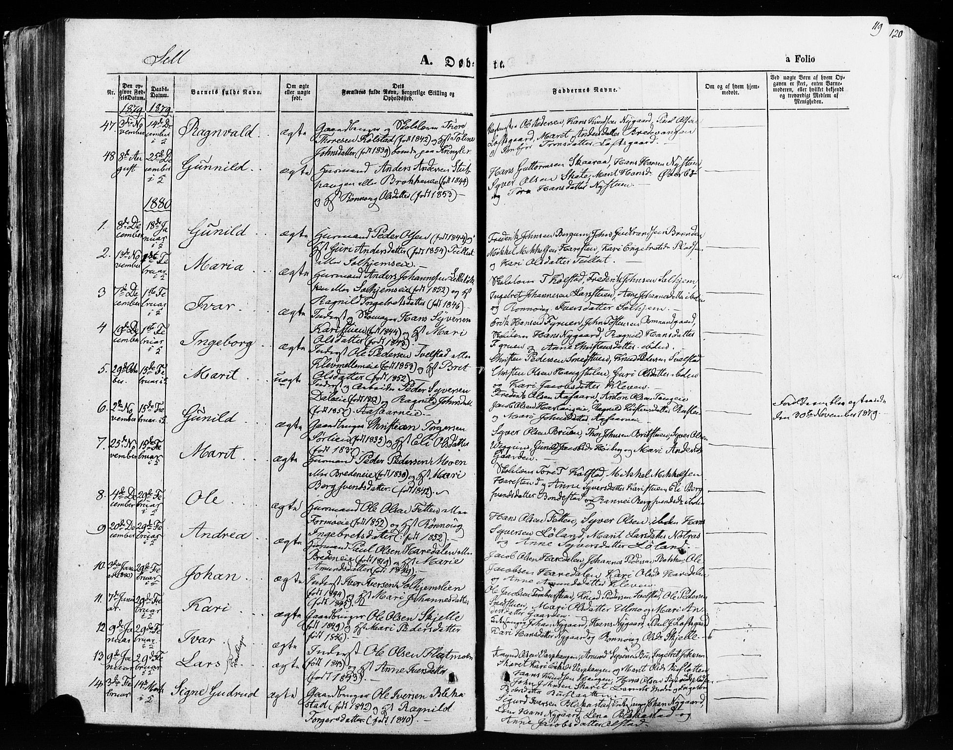 Vågå prestekontor, SAH/PREST-076/H/Ha/Haa/L0007: Parish register (official) no. 7 /3, 1872-1886, p. 119