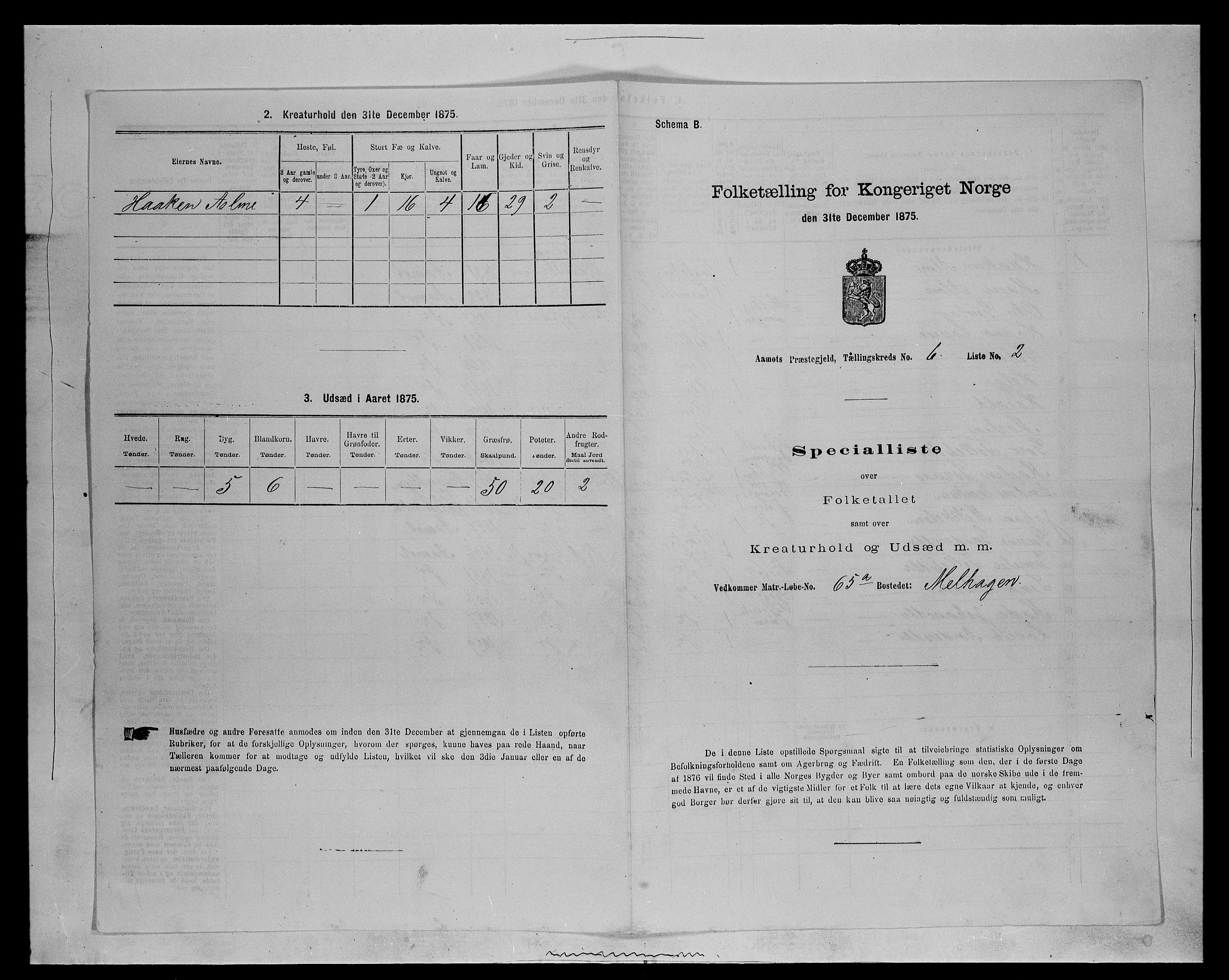 SAH, 1875 census for 0429P Åmot, 1875, p. 882