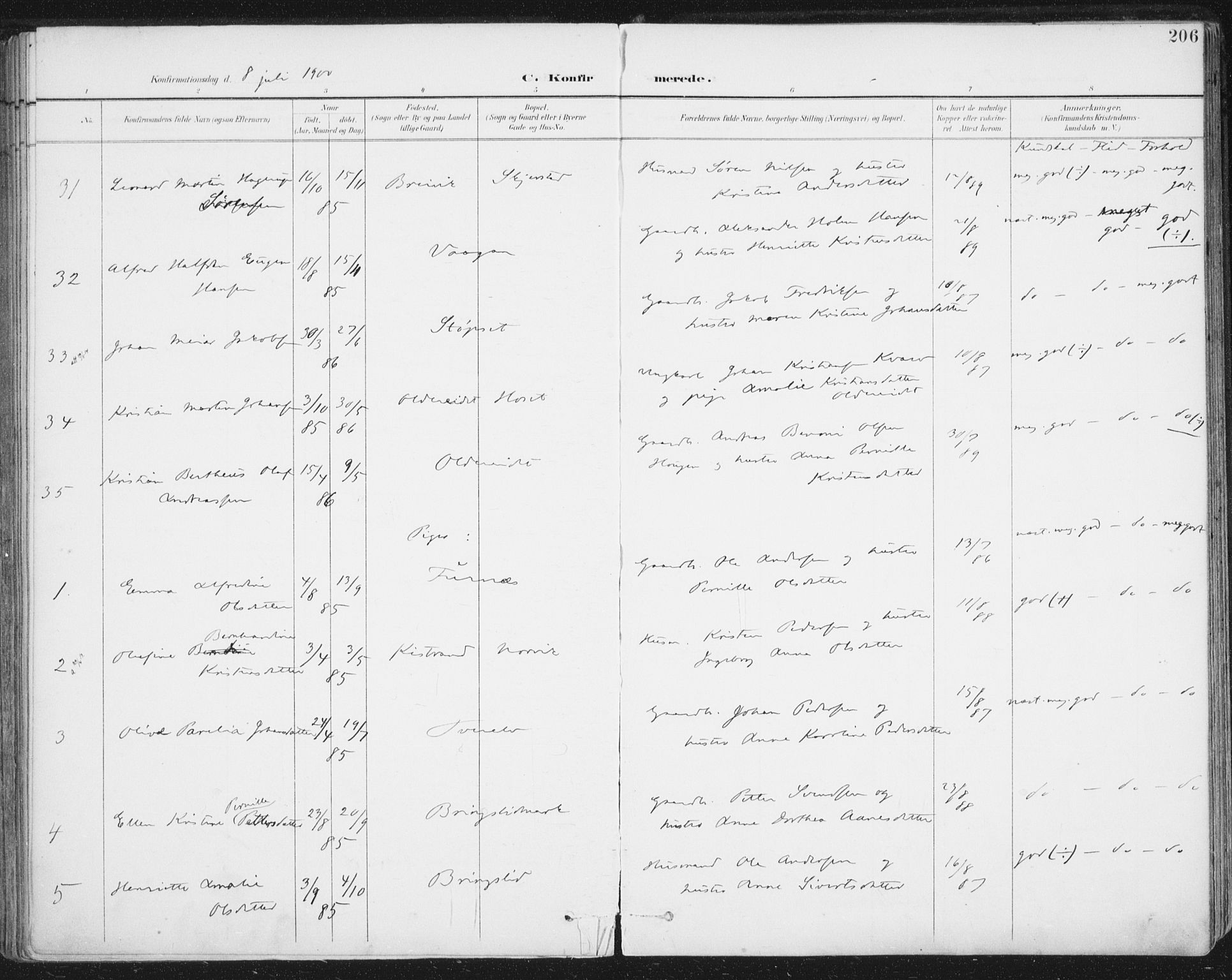 Ministerialprotokoller, klokkerbøker og fødselsregistre - Nordland, AV/SAT-A-1459/852/L0741: Parish register (official) no. 852A11, 1894-1917, p. 206