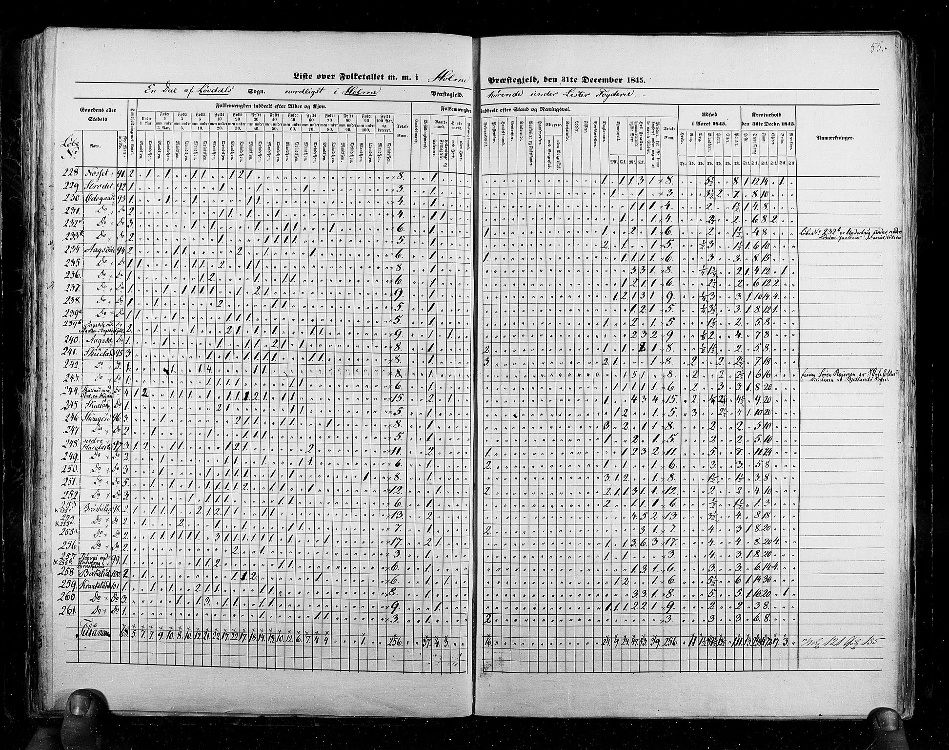 RA, Census 1845, vol. 6: Lister og Mandal amt og Stavanger amt, 1845, p. 55