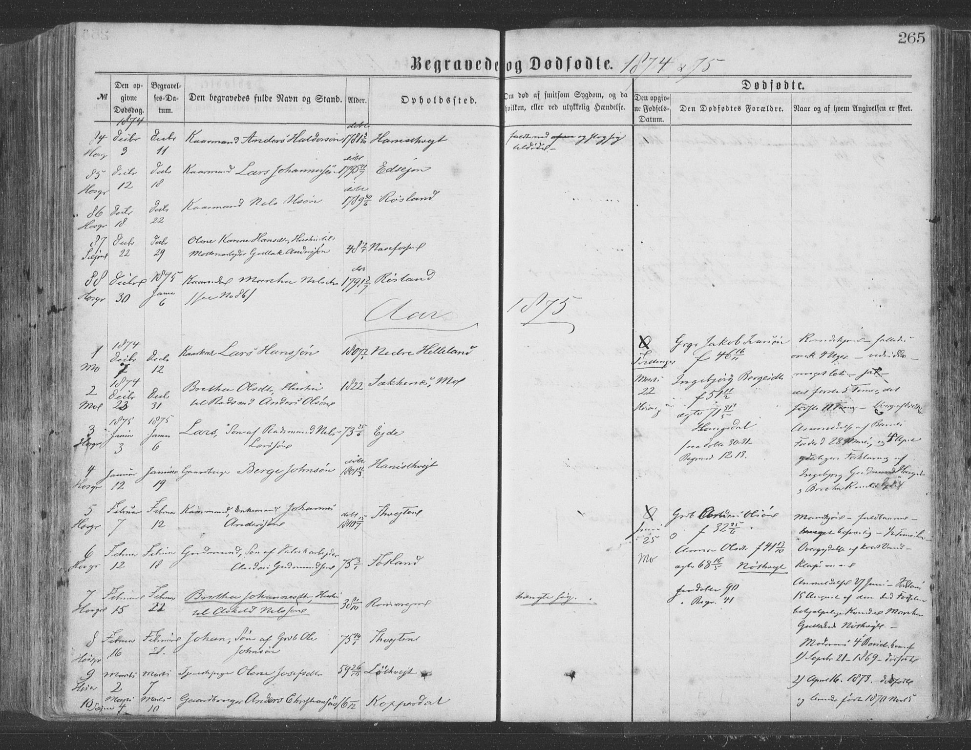 Hosanger sokneprestembete, SAB/A-75801/H/Haa: Parish register (official) no. A 9, 1864-1876, p. 265