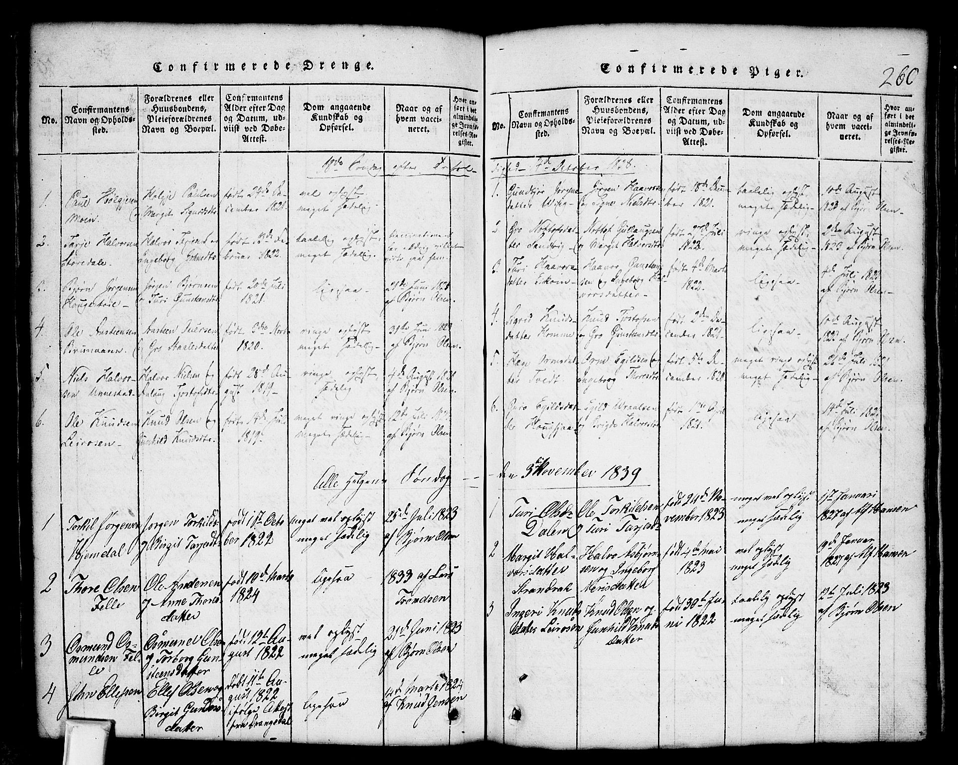 Nissedal kirkebøker, SAKO/A-288/G/Gb/L0001: Parish register (copy) no. II 1, 1814-1862, p. 260