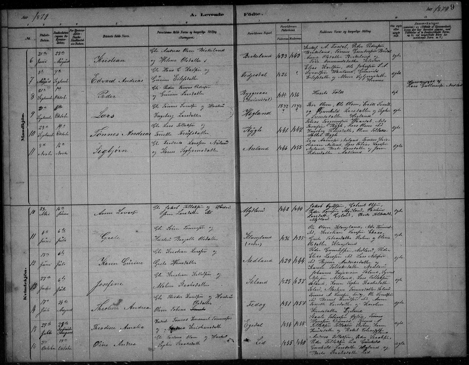 Bakke sokneprestkontor, AV/SAK-1111-0002/F/Fb/Fbb/L0003: Parish register (copy) no. B 3, 1878-1896, p. 9