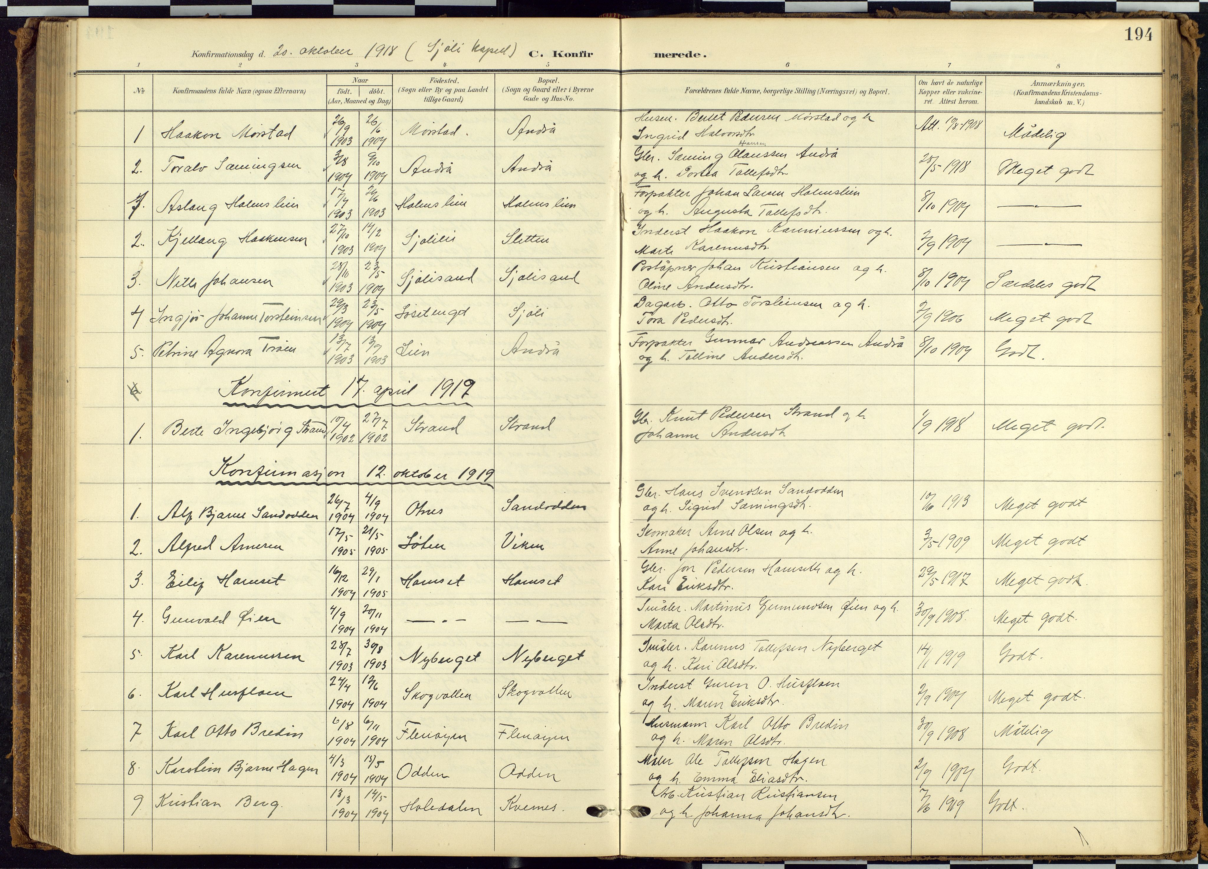 Rendalen prestekontor, SAH/PREST-054/H/Ha/Hab/L0010: Parish register (copy) no. 10, 1903-1940, p. 194
