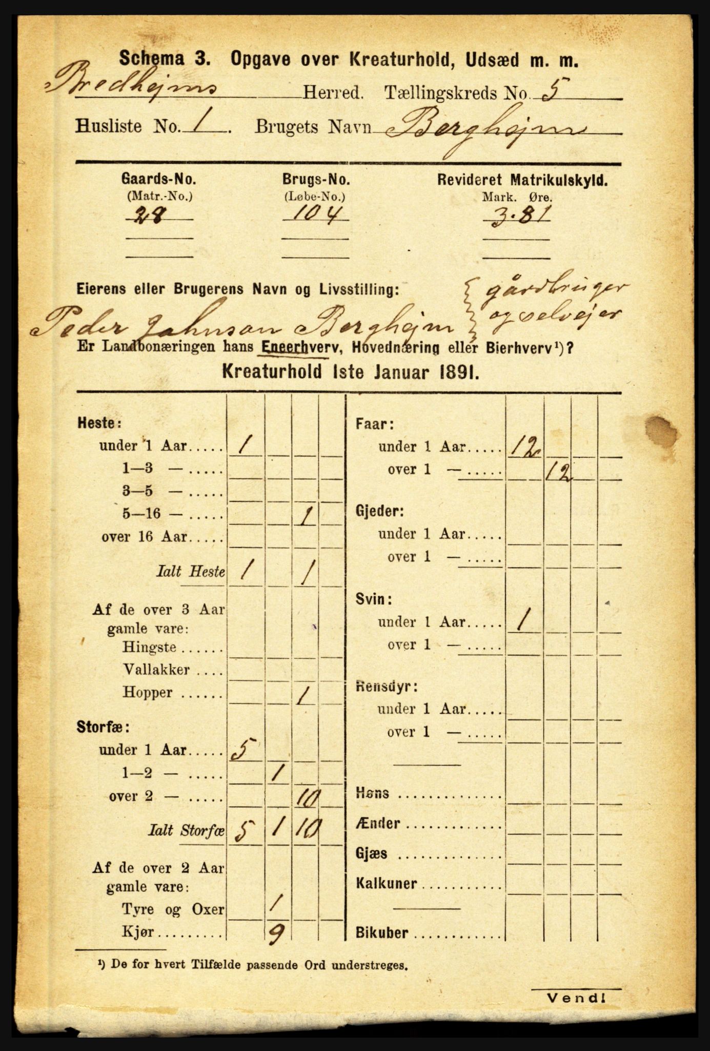 RA, 1891 census for 1446 Breim, 1891, p. 2774