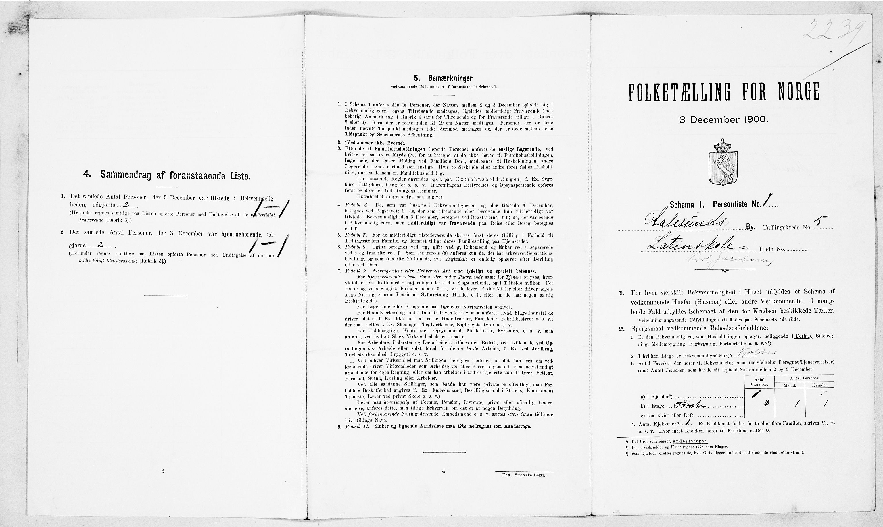 SAT, 1900 census for Ålesund, 1900, p. 1315