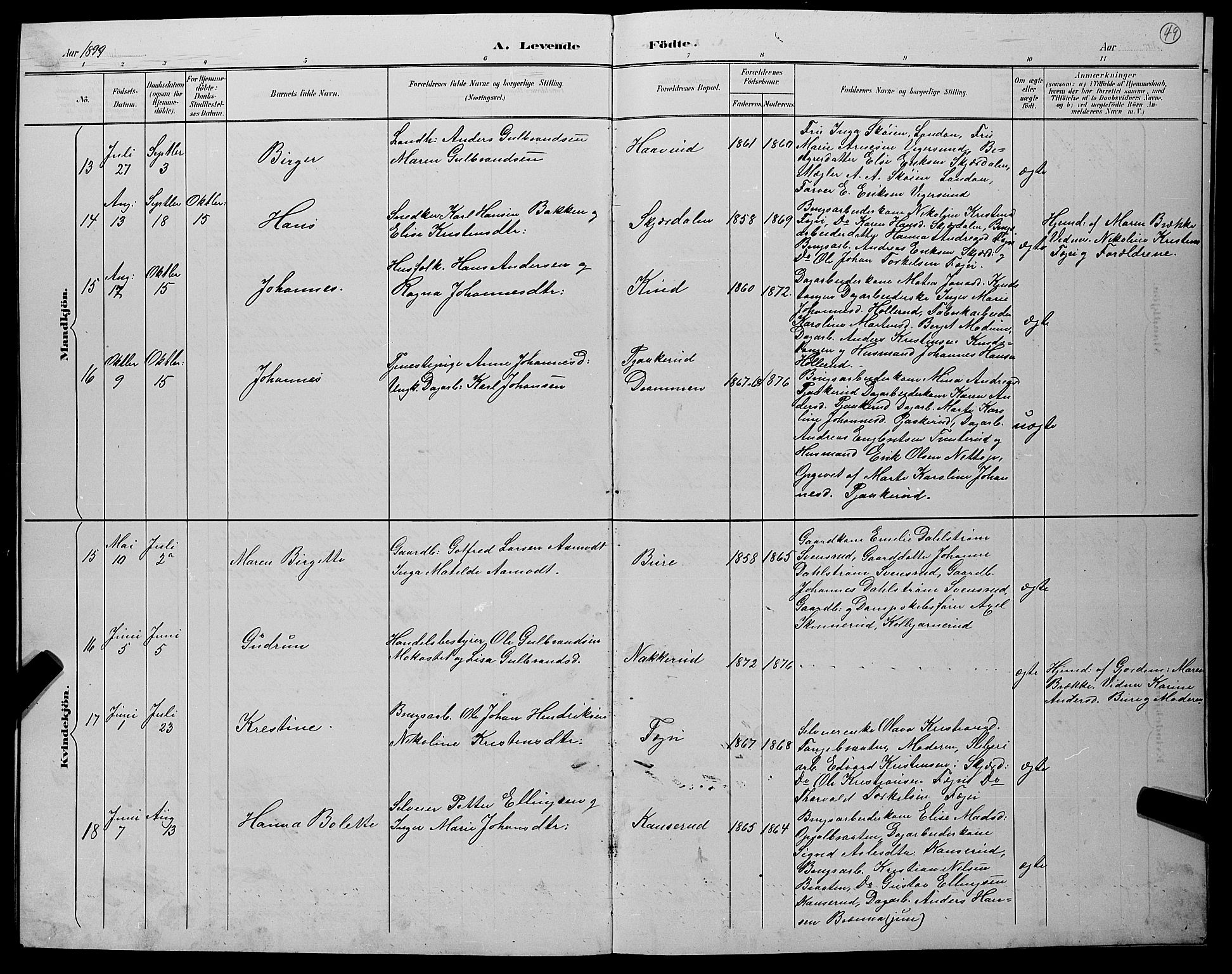 Hole kirkebøker, SAKO/A-228/G/Gb/L0003: Parish register (copy) no. II 3, 1890-1901, p. 49
