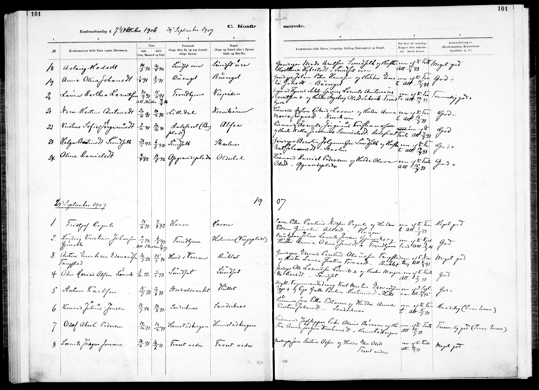 Ministerialprotokoller, klokkerbøker og fødselsregistre - Nord-Trøndelag, AV/SAT-A-1458/733/L0325: Parish register (official) no. 733A04, 1884-1908, p. 101