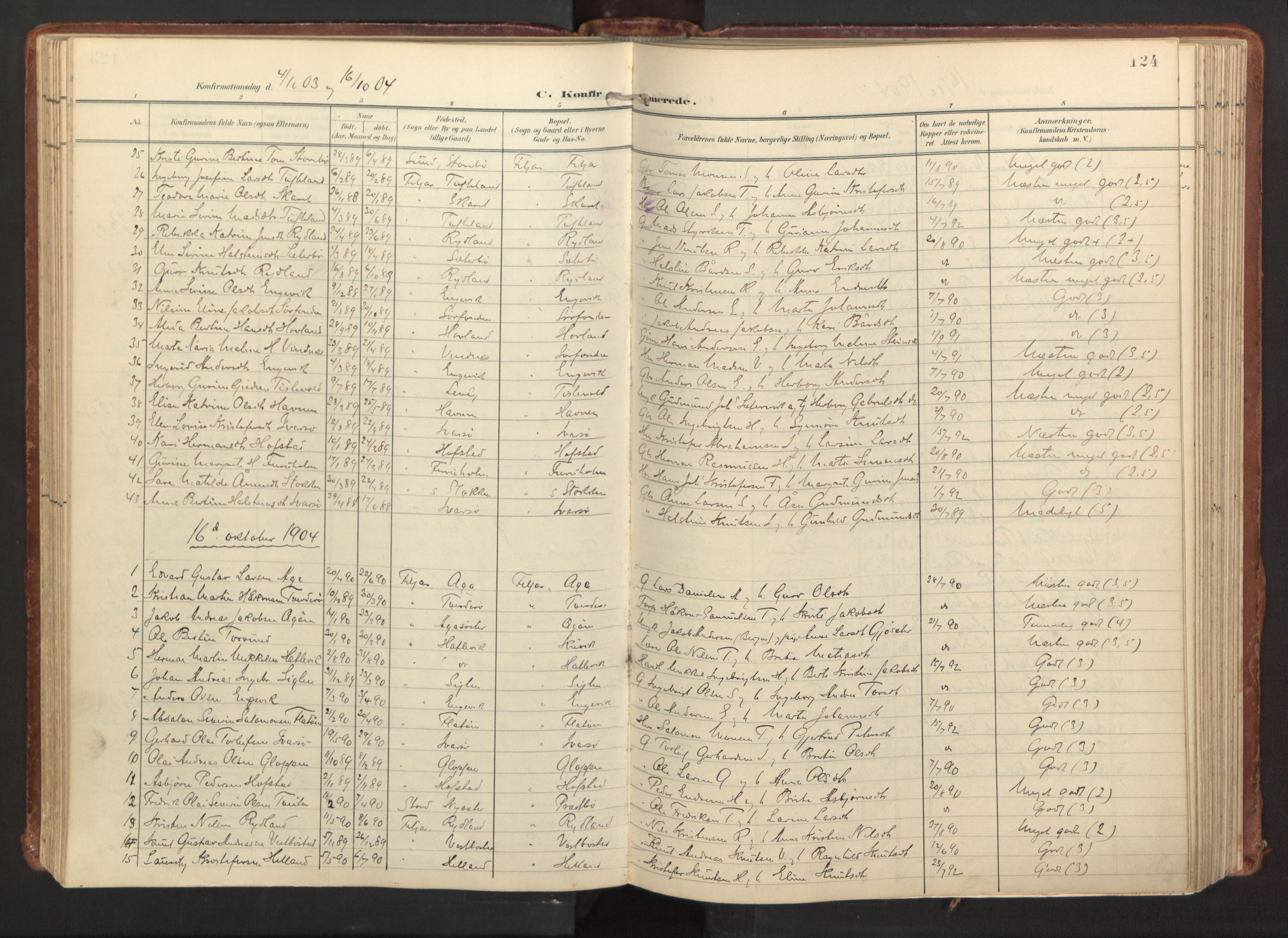 Fitjar sokneprestembete, SAB/A-99926: Parish register (official) no. A 3, 1900-1918, p. 124