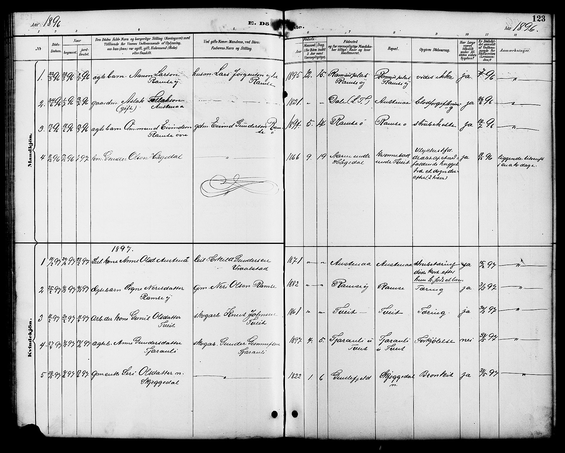 Åmli sokneprestkontor, AV/SAK-1111-0050/F/Fb/Fbb/L0002: Parish register (copy) no. B 2, 1890-1905, p. 123