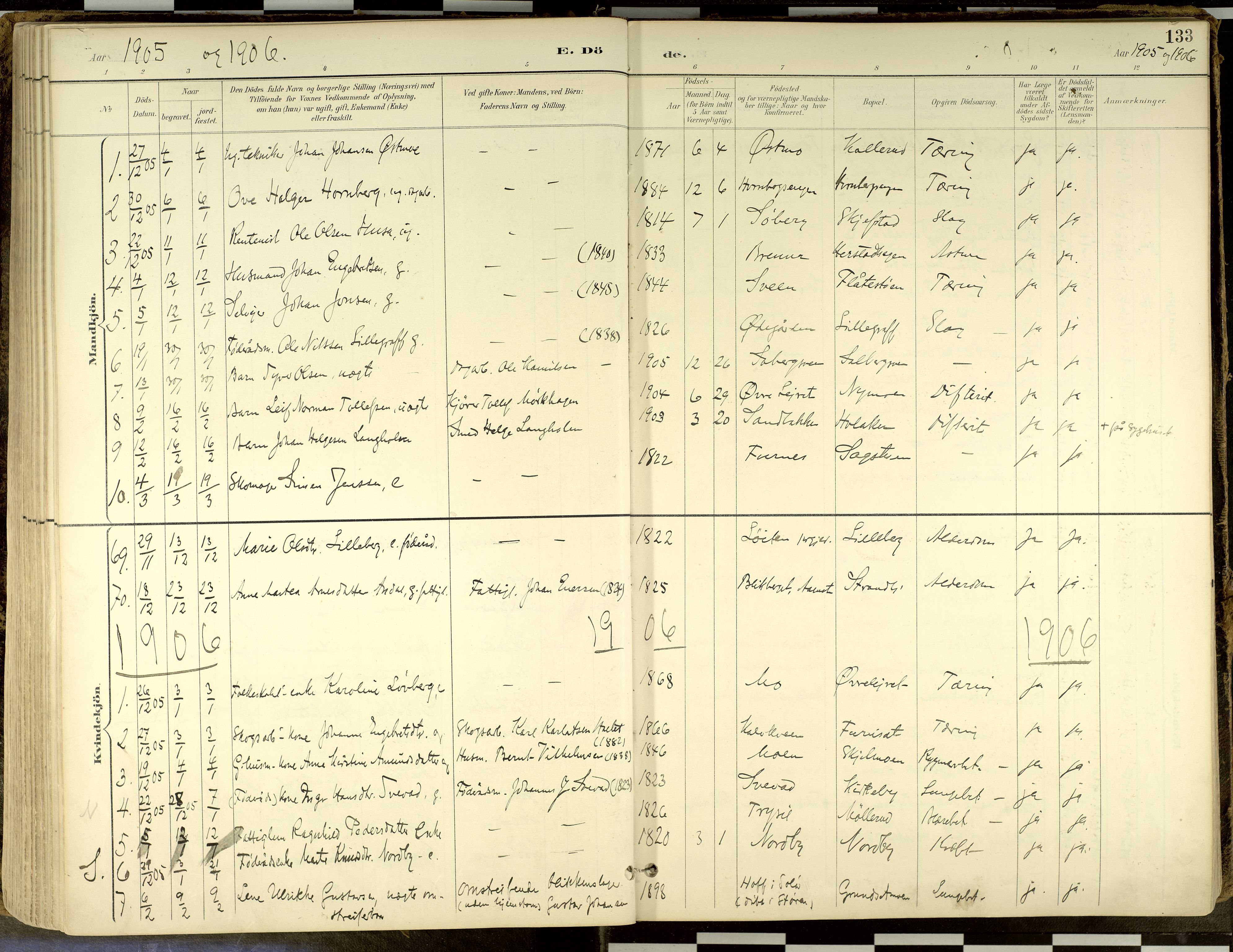 Elverum prestekontor, AV/SAH-PREST-044/H/Ha/Haa/L0018: Parish register (official) no. 18, 1894-1914, p. 133