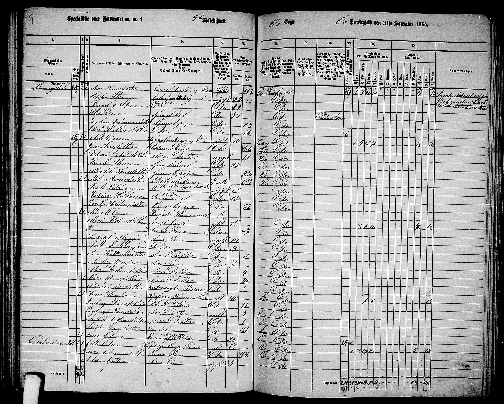 RA, 1865 census for Os, 1865, p. 95