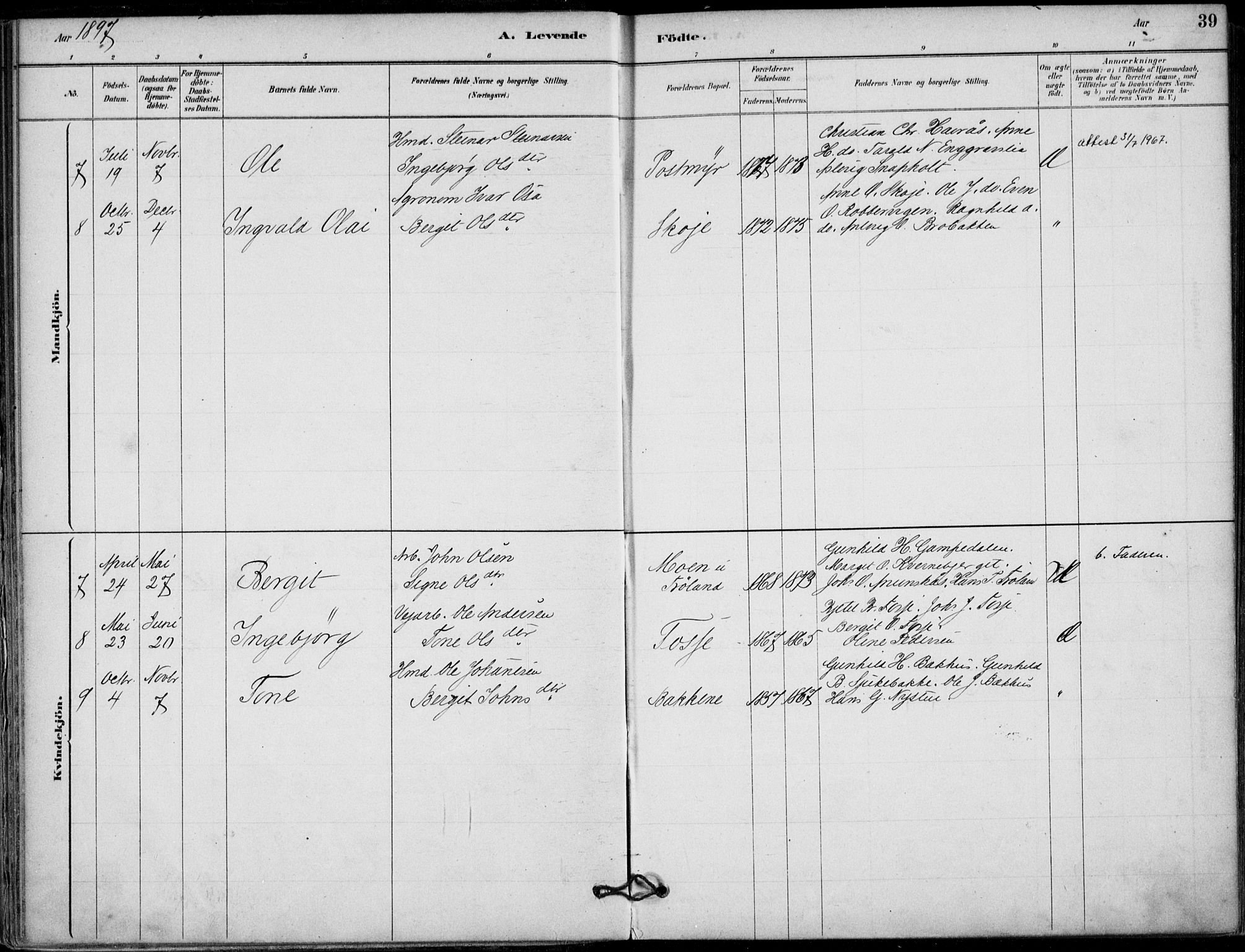 Hjartdal kirkebøker, SAKO/A-270/F/Fb/L0002: Parish register (official) no. II 2, 1880-1932, p. 39