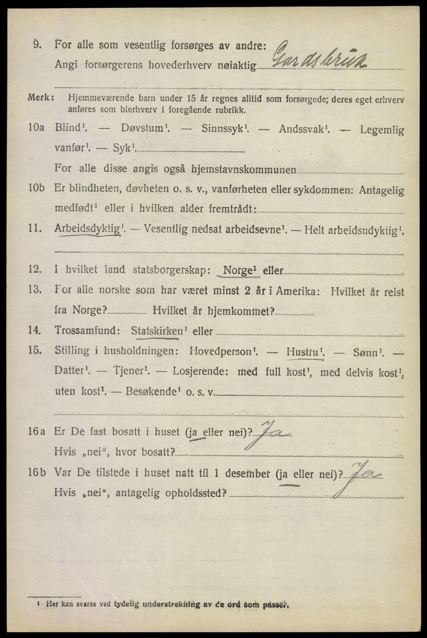 SAKO, 1920 census for Rauland, 1920, p. 1013